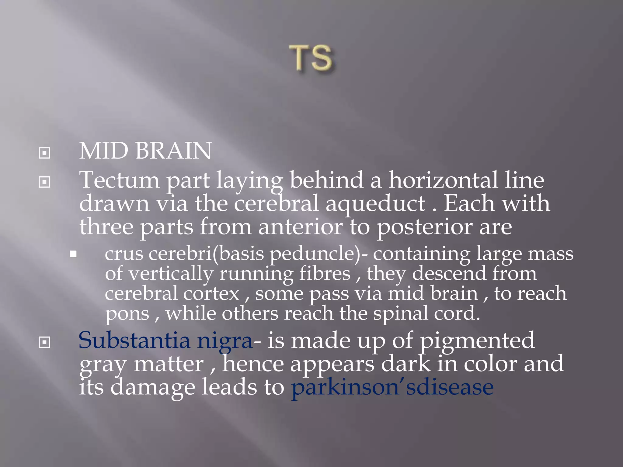 MID BRAIN
Tectum part laying behind a horizontal line
drawn via the cerebral aqueduct . Each with
three parts from anterior to posterior are








crus cerebri(basis peduncle)- containing large mass
of vertically running fibres , they descend from
cerebral cortex , some pass via mid brain , to reach
pons , while others reach the spinal cord.

Substantia nigra- is made up of pigmented
gray matter , hence appears dark in color and
its damage leads to parkinson’sdisease

 