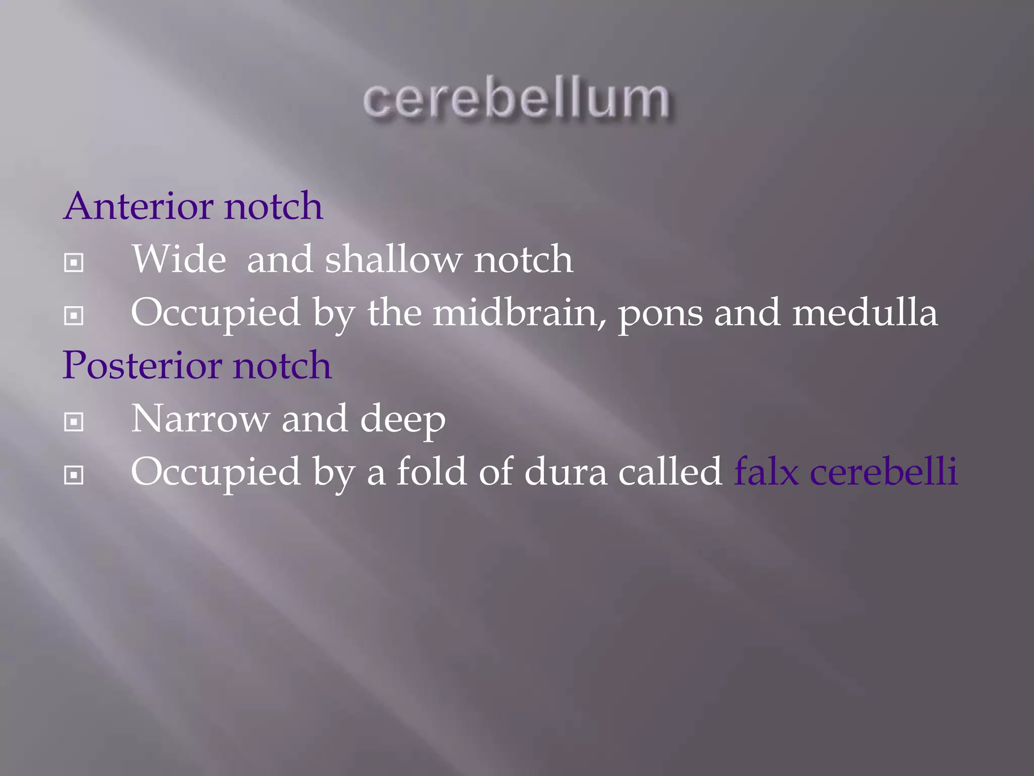 Anterior notch

Wide and shallow notch

Occupied by the midbrain, pons and medulla
Posterior notch

Narrow and deep

Occupied by a fold of dura called falx cerebelli

 