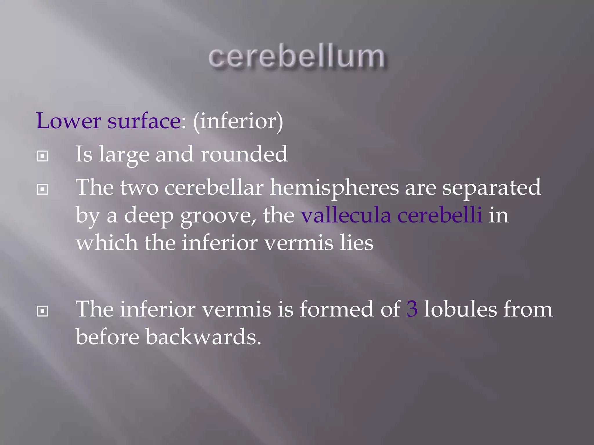 Lower surface: (inferior)

Is large and rounded

The two cerebellar hemispheres are separated
by a deep groove, the vallecula cerebelli in
which the inferior vermis lies


The inferior vermis is formed of 3 lobules from
before backwards.

 