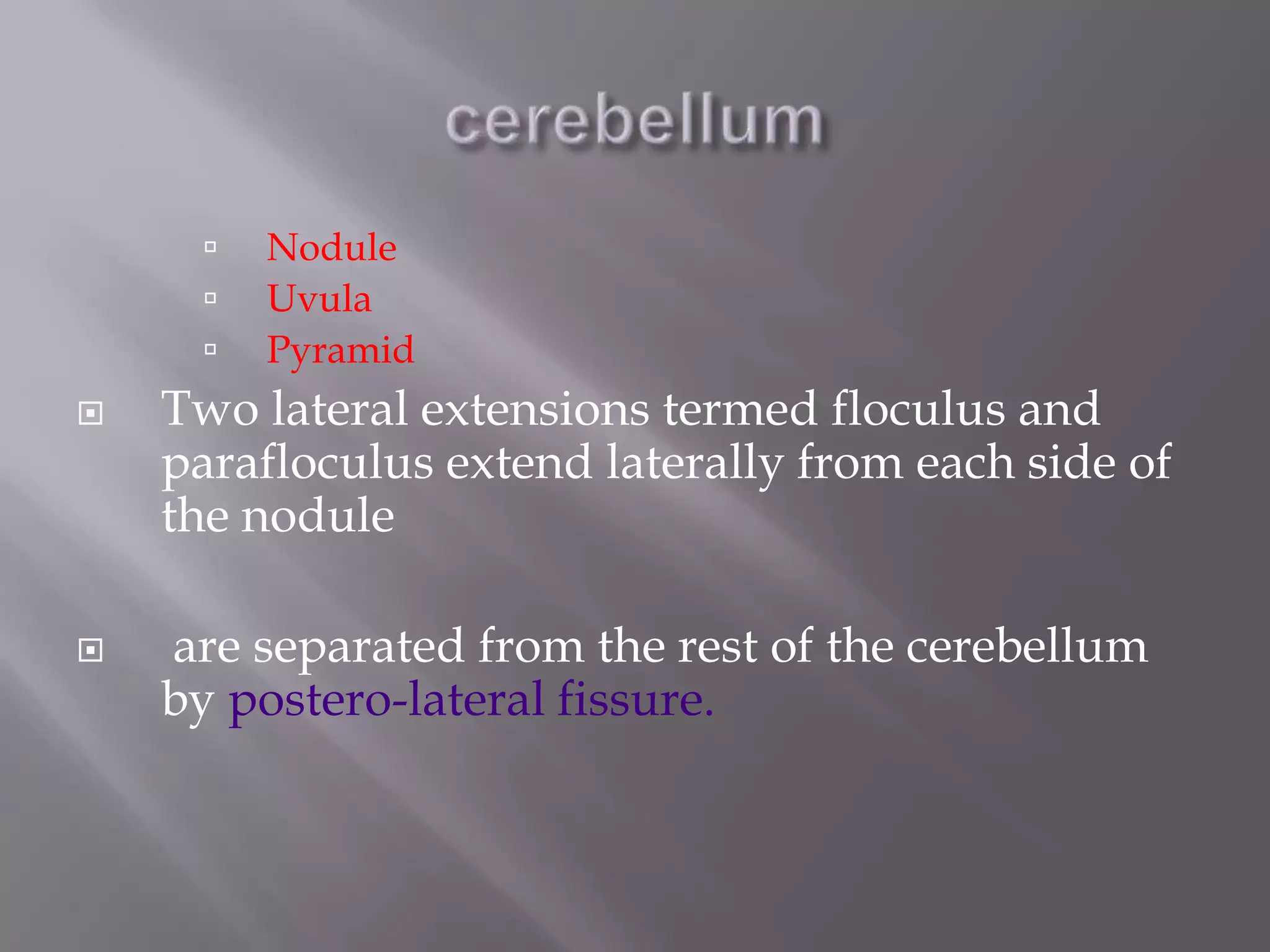 






Nodule
Uvula
Pyramid

Two lateral extensions termed floculus and
parafloculus extend laterally from each side of
the nodule
are separated from the rest of the cerebellum
by postero-lateral fissure.

 