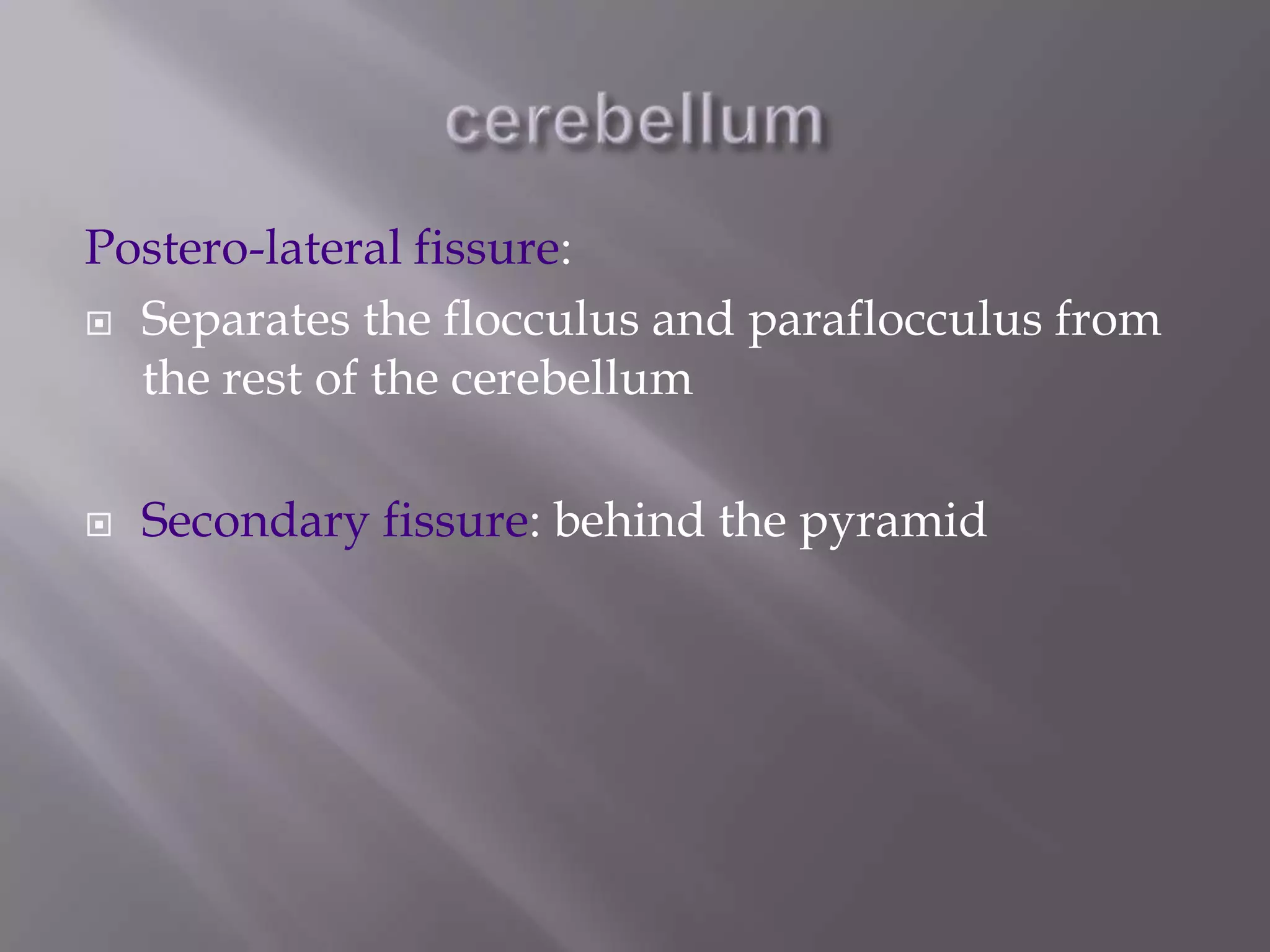 Postero-lateral fissure:
 Separates the flocculus and paraflocculus from
the rest of the cerebellum


Secondary fissure: behind the pyramid

 