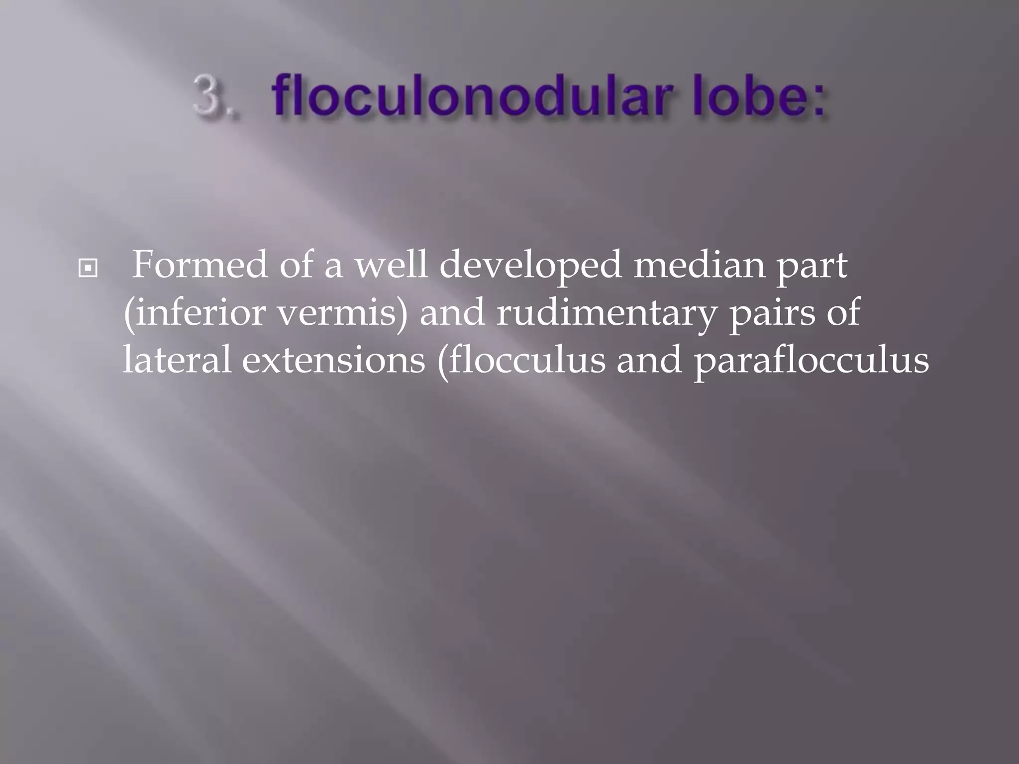 

Formed of a well developed median part
(inferior vermis) and rudimentary pairs of
lateral extensions (flocculus and paraflocculus

 