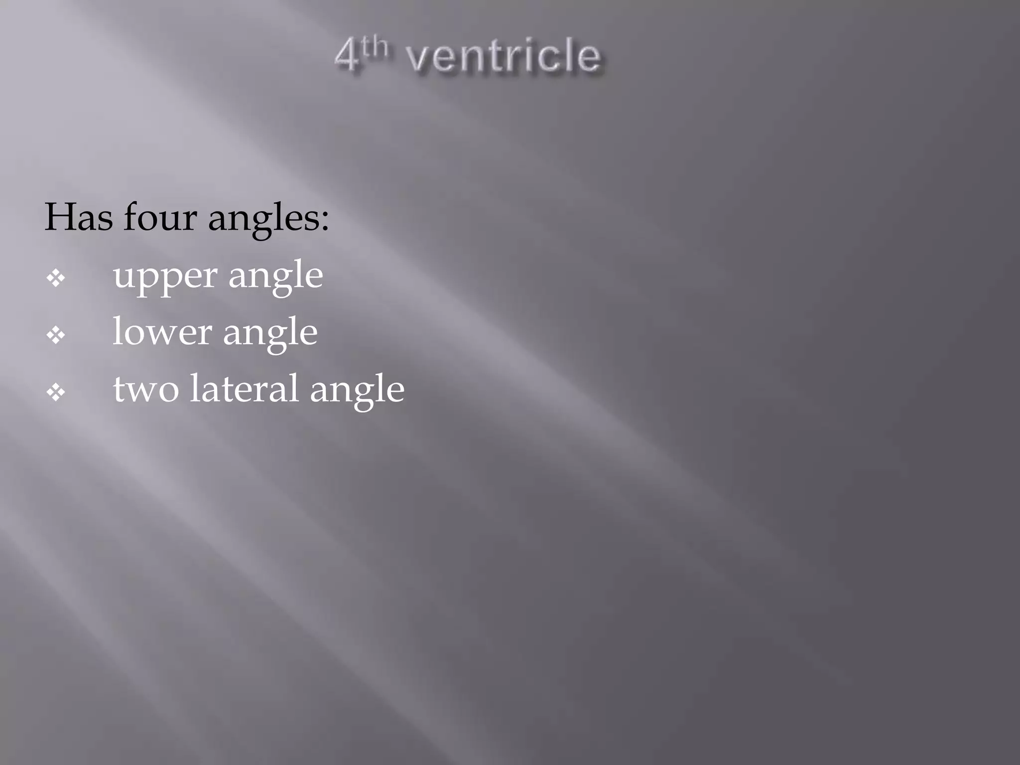 Has four angles:

upper angle

lower angle

two lateral angle

 