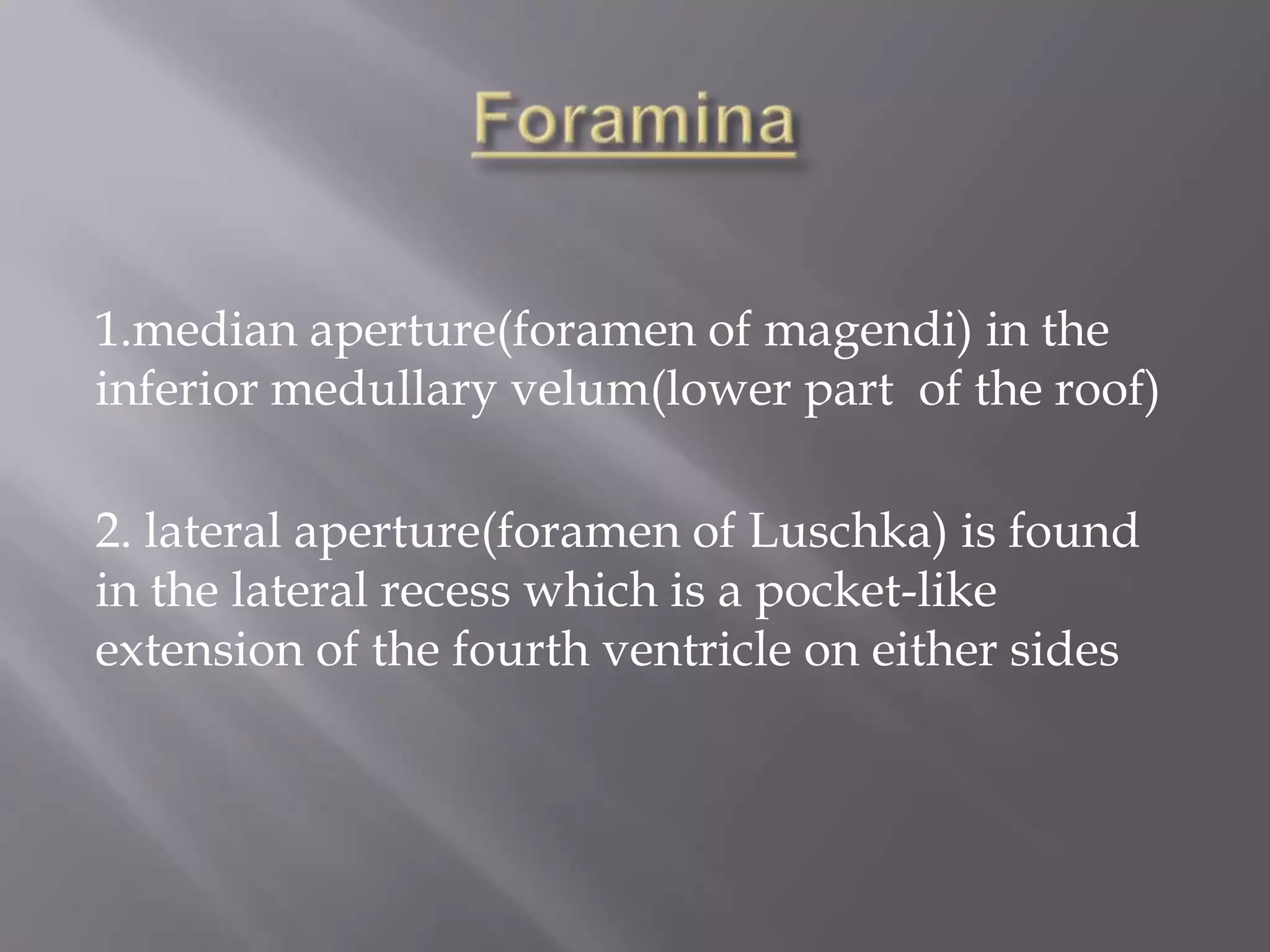 1.median aperture(foramen of magendi) in the
inferior medullary velum(lower part of the roof)
2. lateral aperture(foramen of Luschka) is found
in the lateral recess which is a pocket-like
extension of the fourth ventricle on either sides

 