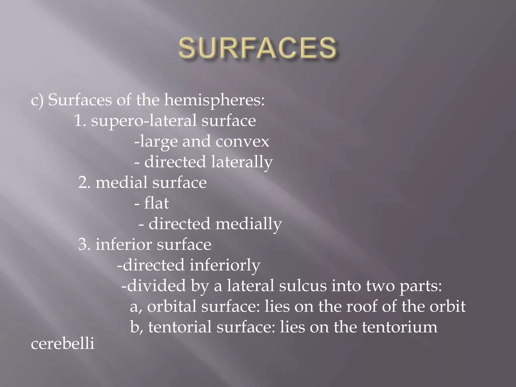 c) Surfaces of the hemispheres:
1. supero-lateral surface
-large and convex
- directed laterally
2. medial surface
- flat
- directed medially
3. inferior surface
-directed inferiorly
-divided by a lateral sulcus into two parts:
a, orbital surface: lies on the roof of the orbit
b, tentorial surface: lies on the tentorium
cerebelli

 
