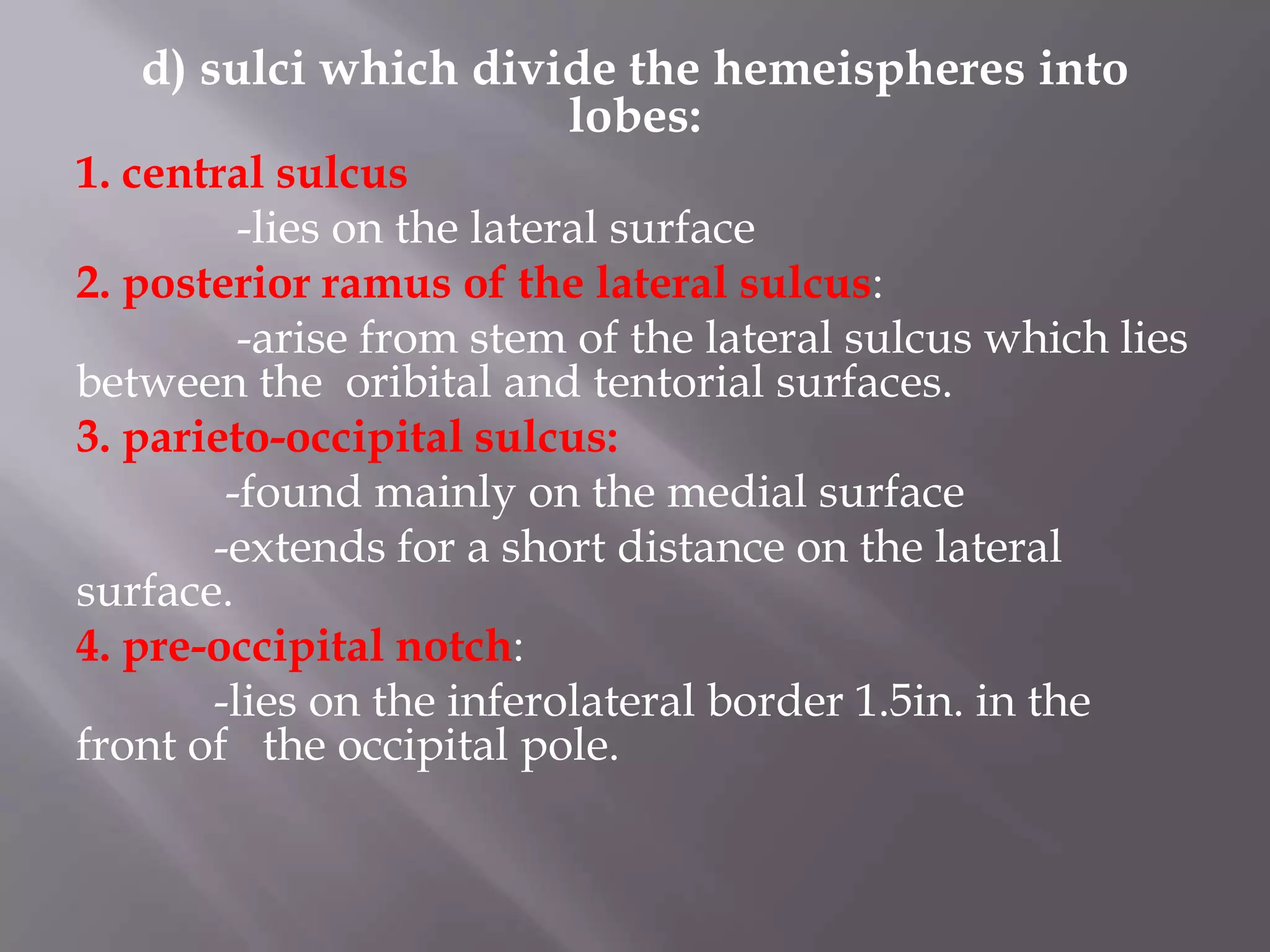 d) sulci which divide the hemeispheres into
lobes:
1. central sulcus
-lies on the lateral surface
2. posterior ramus of the lateral sulcus:
-arise from stem of the lateral sulcus which lies
between the oribital and tentorial surfaces.
3. parieto-occipital sulcus:
-found mainly on the medial surface
-extends for a short distance on the lateral
surface.
4. pre-occipital notch:
-lies on the inferolateral border 1.5in. in the
front of the occipital pole.

 