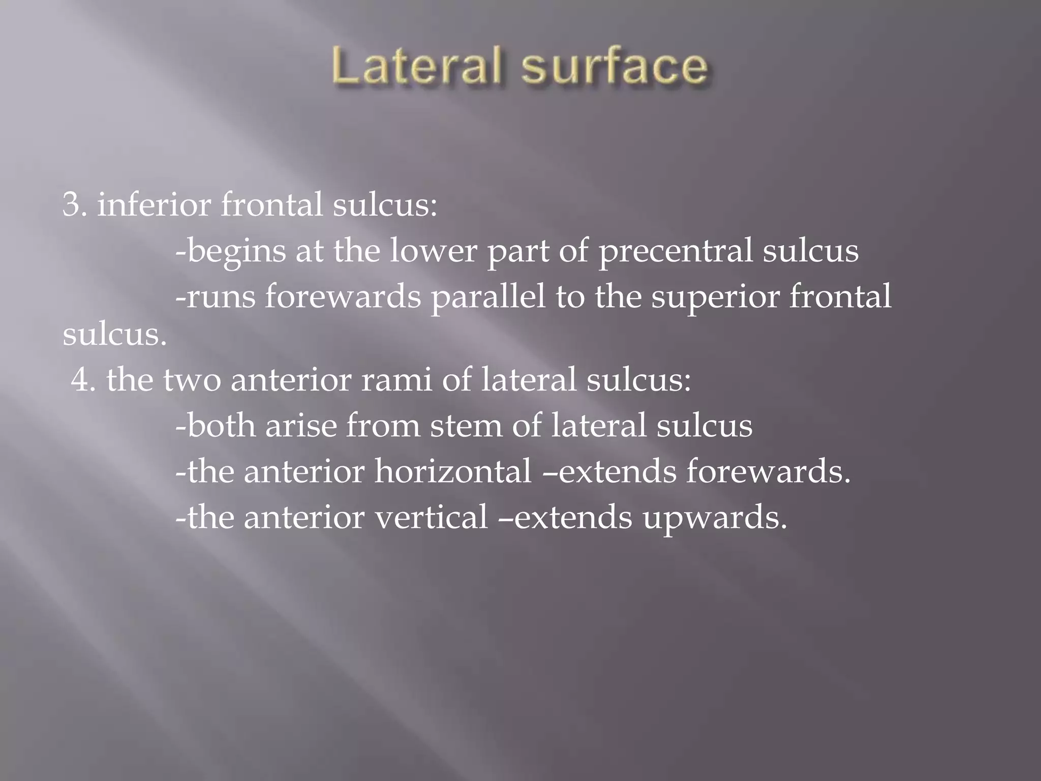 3. inferior frontal sulcus:
-begins at the lower part of precentral sulcus
-runs forewards parallel to the superior frontal
sulcus.
4. the two anterior rami of lateral sulcus:
-both arise from stem of lateral sulcus
-the anterior horizontal –extends forewards.
-the anterior vertical –extends upwards.

 