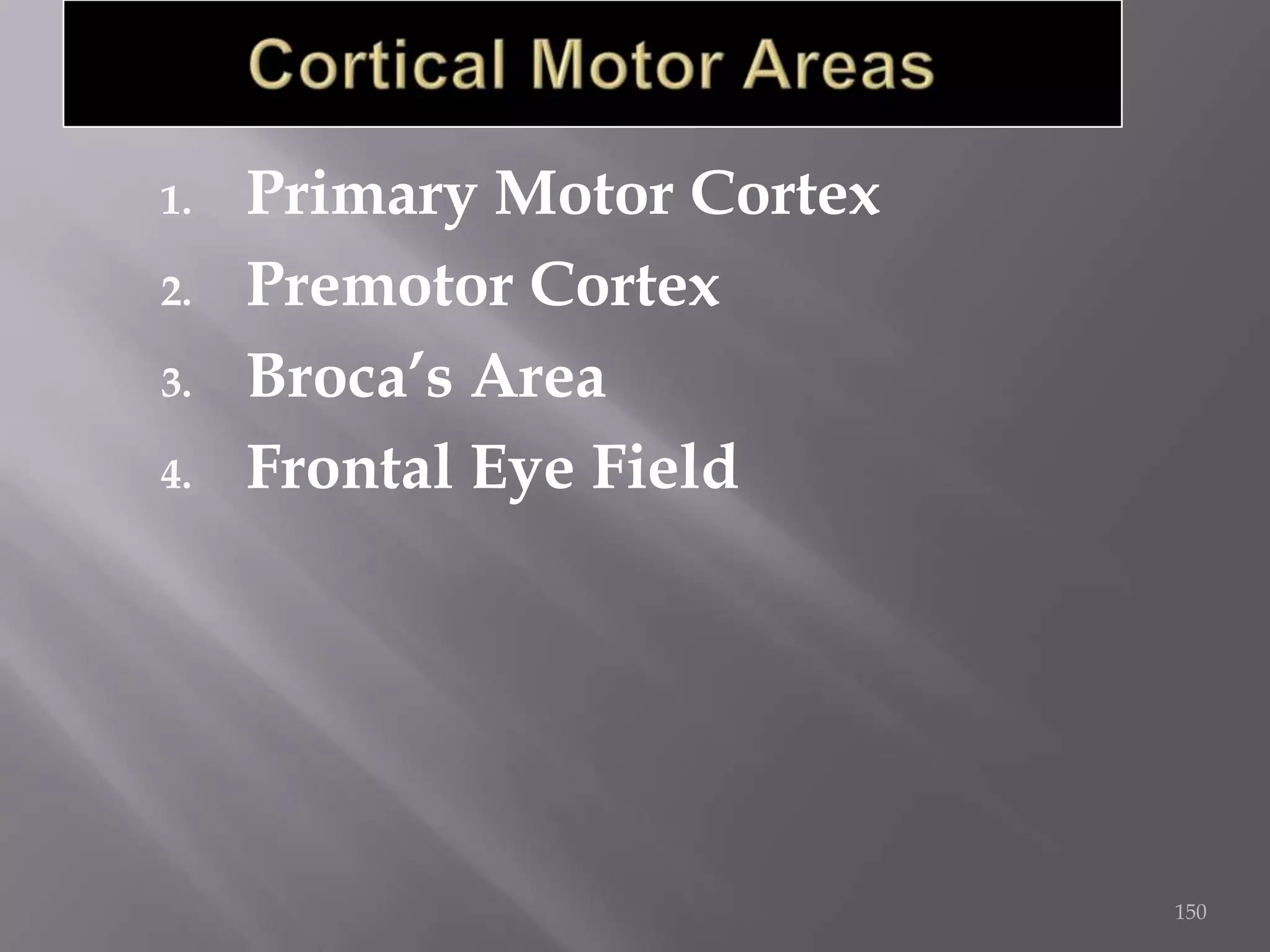1.
2.
3.
4.

Primary Motor Cortex
Premotor Cortex
Broca’s Area
Frontal Eye Field

150

 
