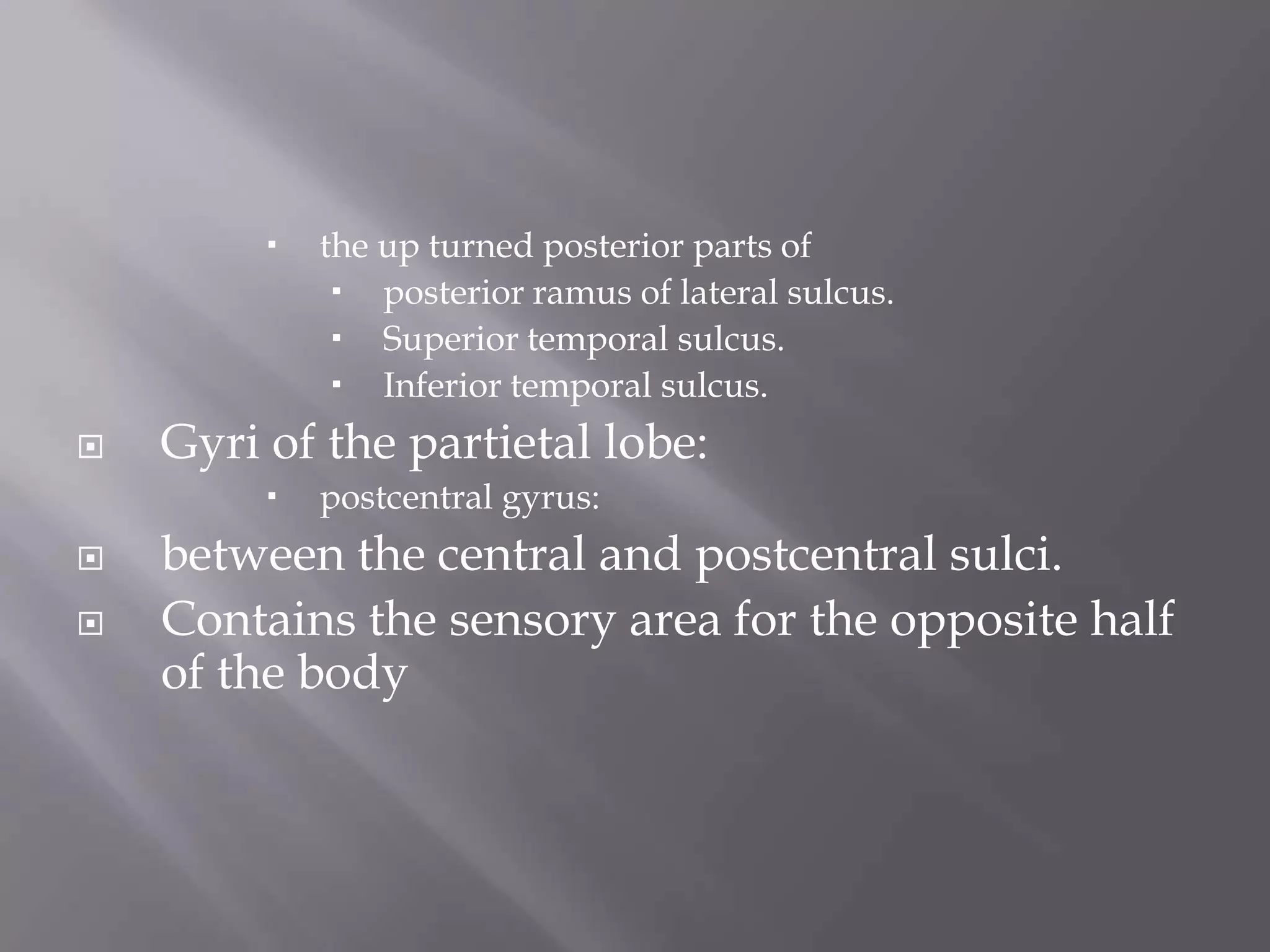 



Gyri of the partietal lobe:





the up turned posterior parts of
 posterior ramus of lateral sulcus.
 Superior temporal sulcus.
 Inferior temporal sulcus.
postcentral gyrus:

between the central and postcentral sulci.
Contains the sensory area for the opposite half
of the body

 