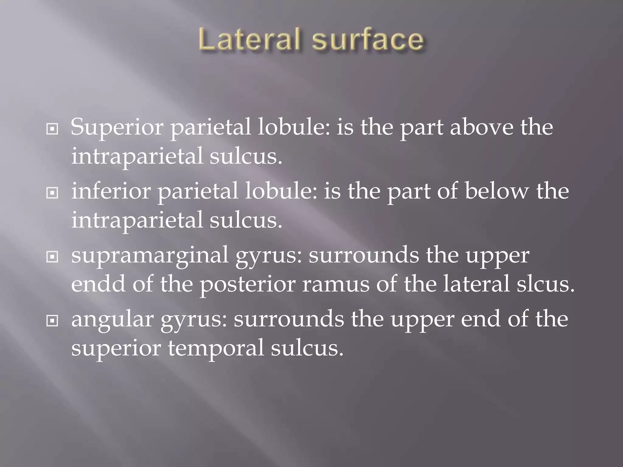 







Superior parietal lobule: is the part above the
intraparietal sulcus.
inferior parietal lobule: is the part of below the
intraparietal sulcus.
supramarginal gyrus: surrounds the upper
endd of the posterior ramus of the lateral slcus.
angular gyrus: surrounds the upper end of the
superior temporal sulcus.

 