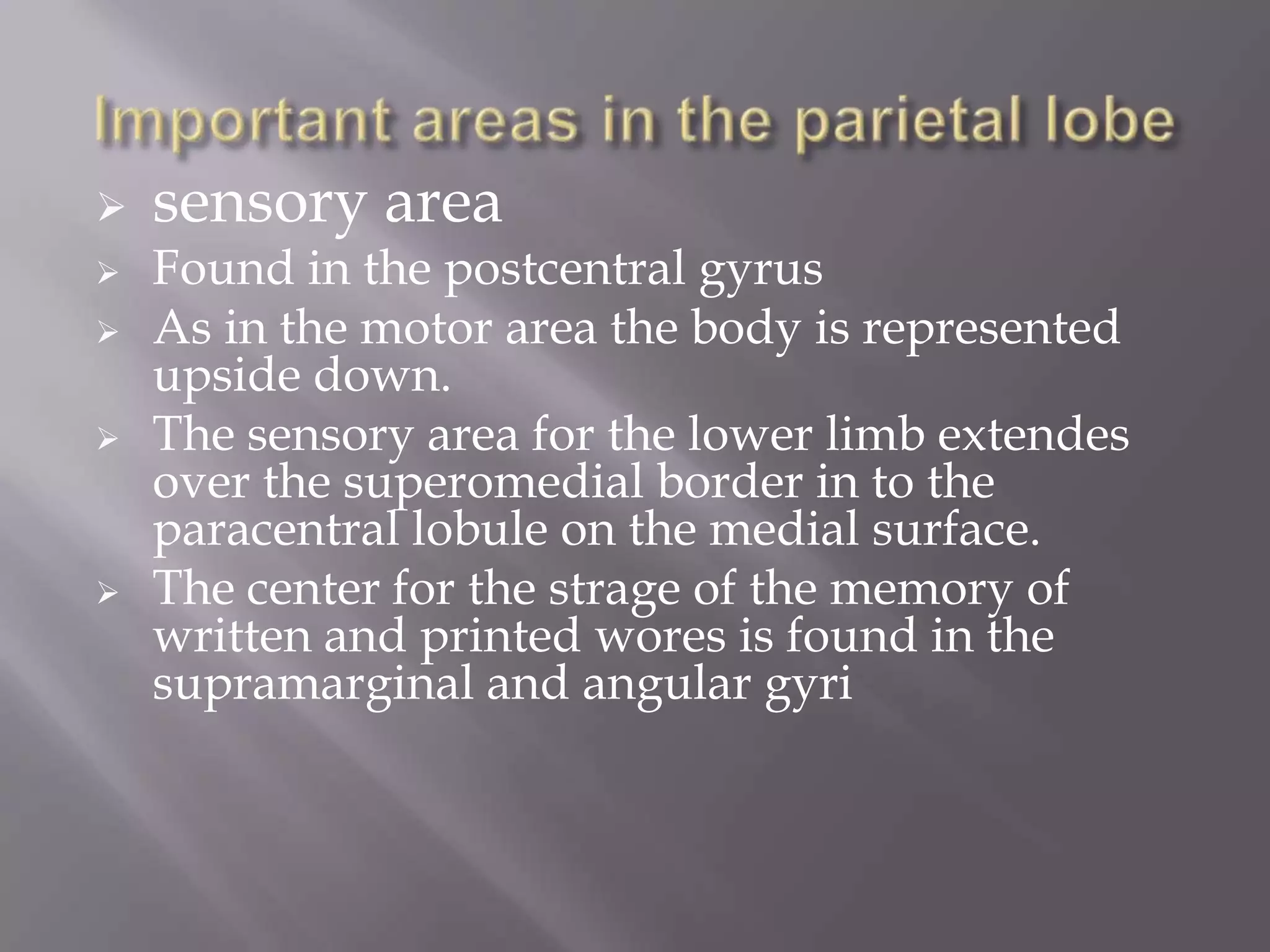 







sensory area

Found in the postcentral gyrus
As in the motor area the body is represented
upside down.
The sensory area for the lower limb extendes
over the superomedial border in to the
paracentral lobule on the medial surface.
The center for the strage of the memory of
written and printed wores is found in the
supramarginal and angular gyri

 