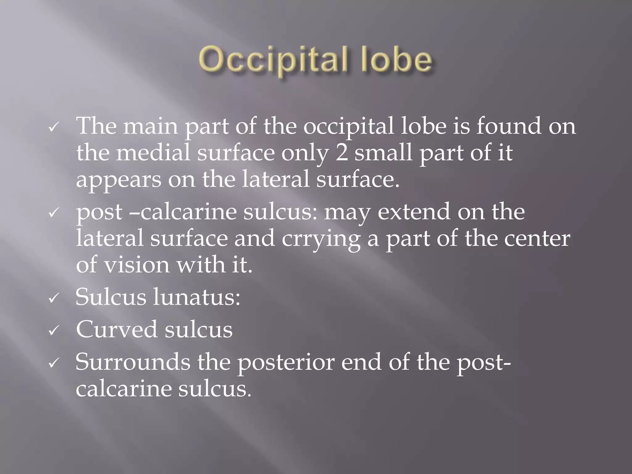 







The main part of the occipital lobe is found on
the medial surface only 2 small part of it
appears on the lateral surface.
post –calcarine sulcus: may extend on the
lateral surface and crrying a part of the center
of vision with it.
Sulcus lunatus:
Curved sulcus
Surrounds the posterior end of the postcalcarine sulcus.

 