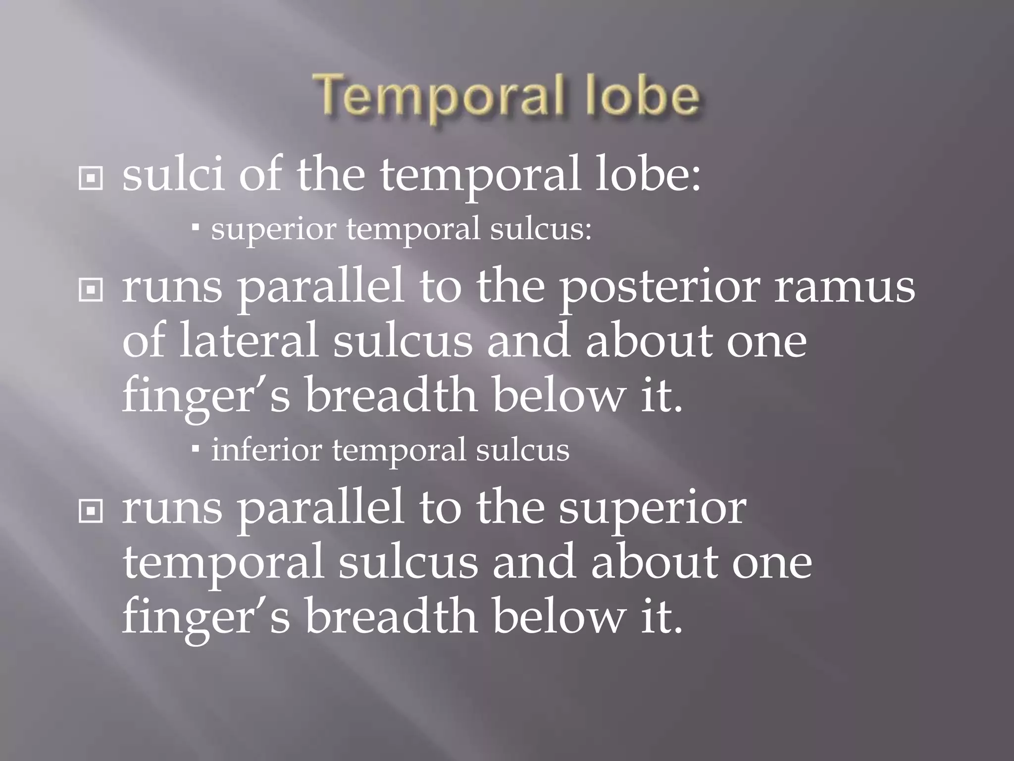 

sulci of the temporal lobe:
 superior temporal sulcus:



runs parallel to the posterior ramus
of lateral sulcus and about one
finger’s breadth below it.
 inferior temporal sulcus



runs parallel to the superior
temporal sulcus and about one
finger’s breadth below it.

 