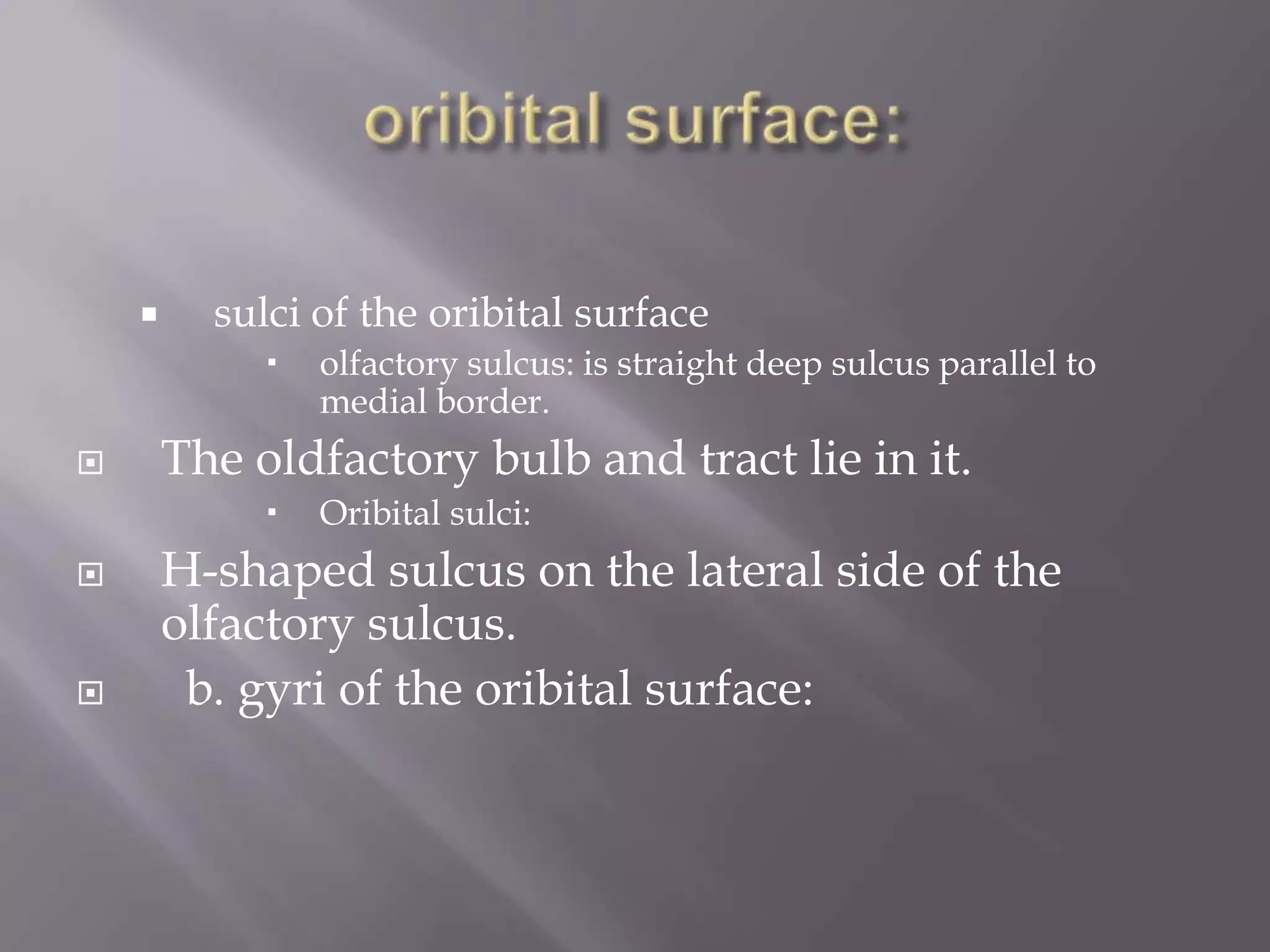 

sulci of the oribital surface




The oldfactory bulb and tract lie in it.






olfactory sulcus: is straight deep sulcus parallel to
medial border.
Oribital sulci:

H-shaped sulcus on the lateral side of the
olfactory sulcus.
b. gyri of the oribital surface:

 