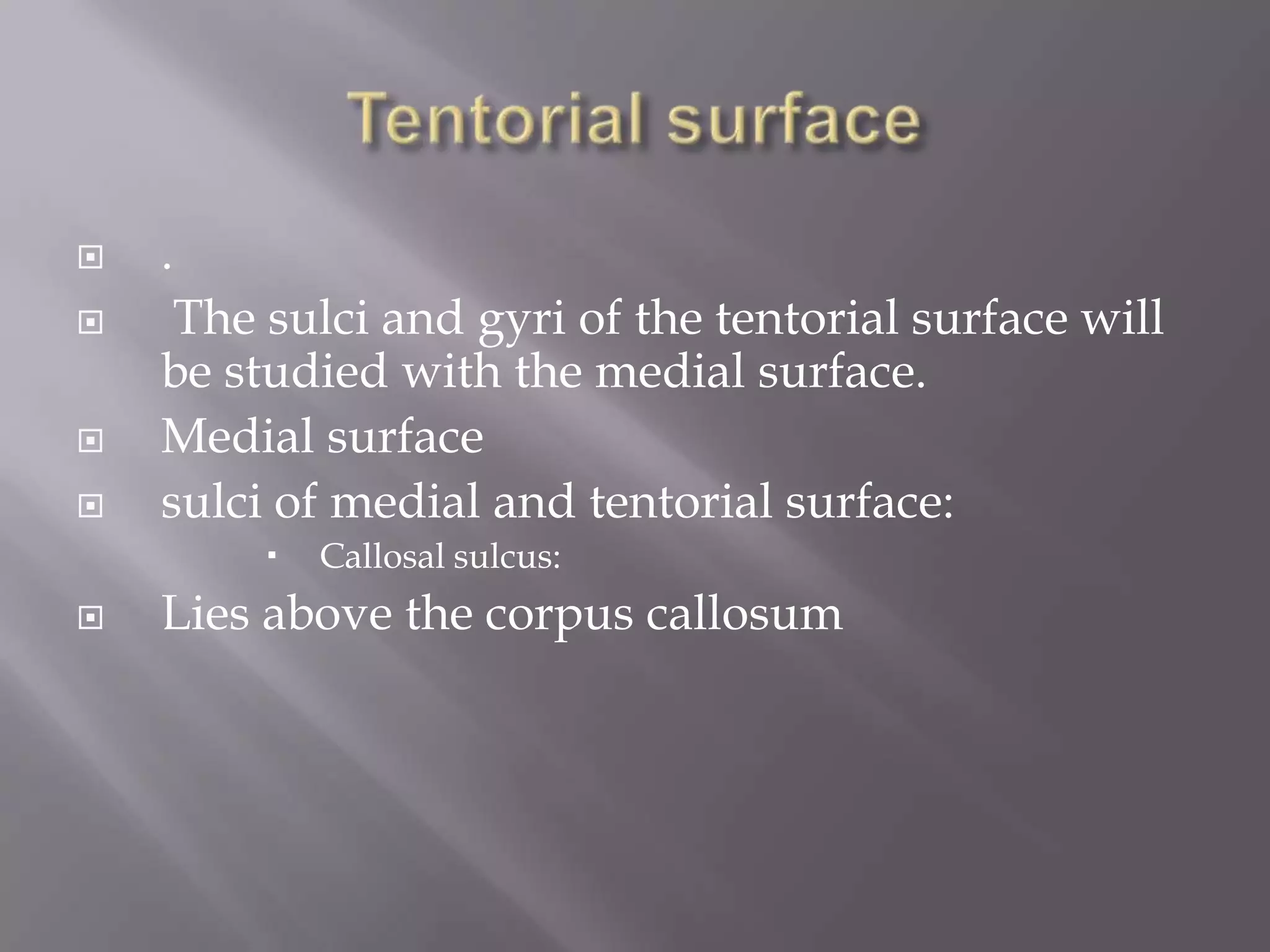 





.
The sulci and gyri of the tentorial surface will
be studied with the medial surface.
Medial surface
sulci of medial and tentorial surface:




Callosal sulcus:

Lies above the corpus callosum

 