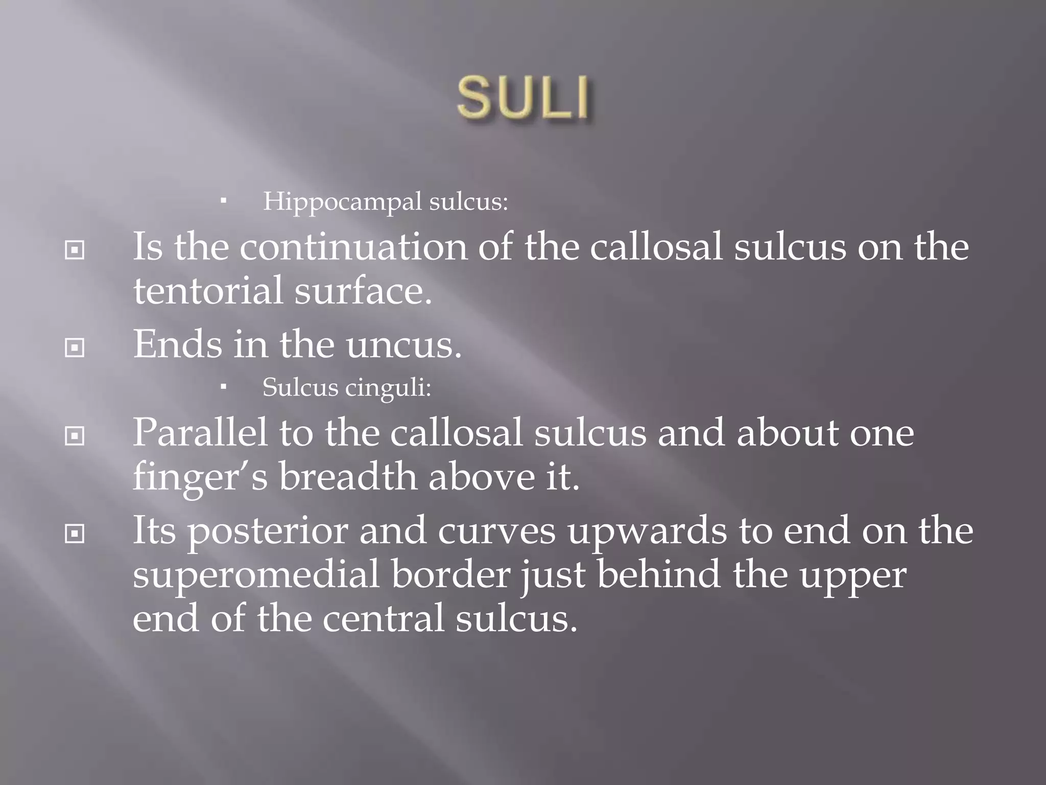 





Is the continuation of the callosal sulcus on the
tentorial surface.
Ends in the uncus.






Hippocampal sulcus:

Sulcus cinguli:

Parallel to the callosal sulcus and about one
finger’s breadth above it.
Its posterior and curves upwards to end on the
superomedial border just behind the upper
end of the central sulcus.

 