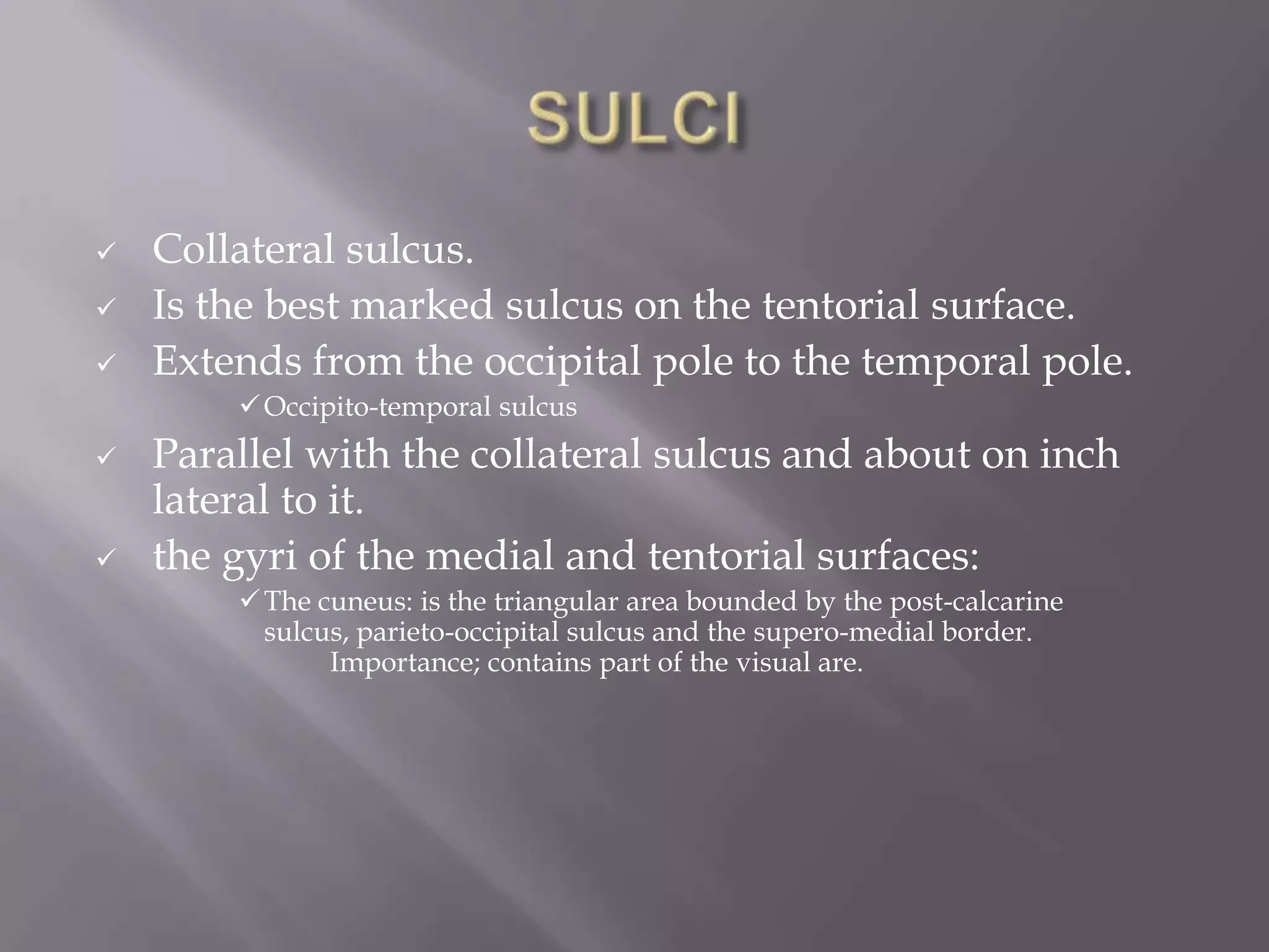 



Collateral sulcus.
Is the best marked sulcus on the tentorial surface.
Extends from the occipital pole to the temporal pole.
 Occipito-temporal sulcus





Parallel with the collateral sulcus and about on inch
lateral to it.
the gyri of the medial and tentorial surfaces:
 The cuneus: is the triangular area bounded by the post-calcarine
sulcus, parieto-occipital sulcus and the supero-medial border.
Importance; contains part of the visual are.

 