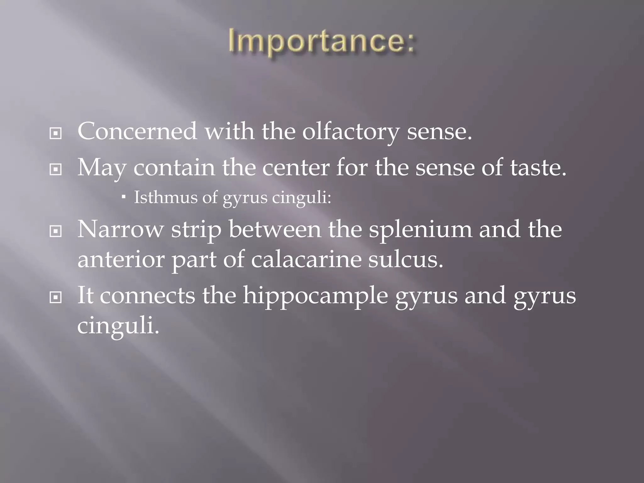 


Concerned with the olfactory sense.
May contain the center for the sense of taste.
 Isthmus of gyrus cinguli:





Narrow strip between the splenium and the
anterior part of calacarine sulcus.
It connects the hippocample gyrus and gyrus
cinguli.

 