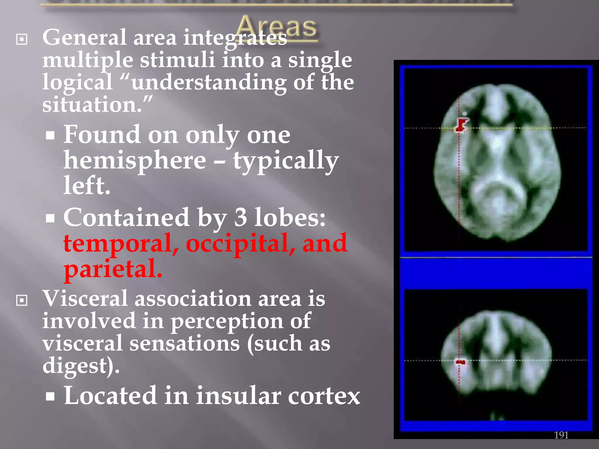 

General area integrates
multiple stimuli into a single
logical “understanding of the
situation.”

Found on only one
hemisphere – typically
left.
 Contained by 3 lobes:
temporal, occipital, and
parietal.




Visceral association area is
involved in perception of
visceral sensations (such as
digest).


Located in insular cortex
191

 