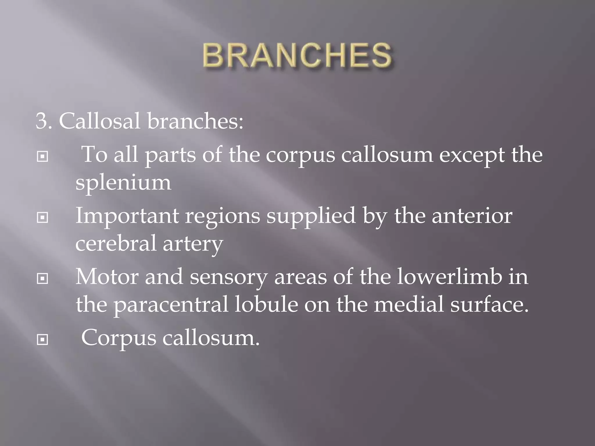 3. Callosal branches:

To all parts of the corpus callosum except the
splenium

Important regions supplied by the anterior
cerebral artery

Motor and sensory areas of the lowerlimb in
the paracentral lobule on the medial surface.

Corpus callosum.

 