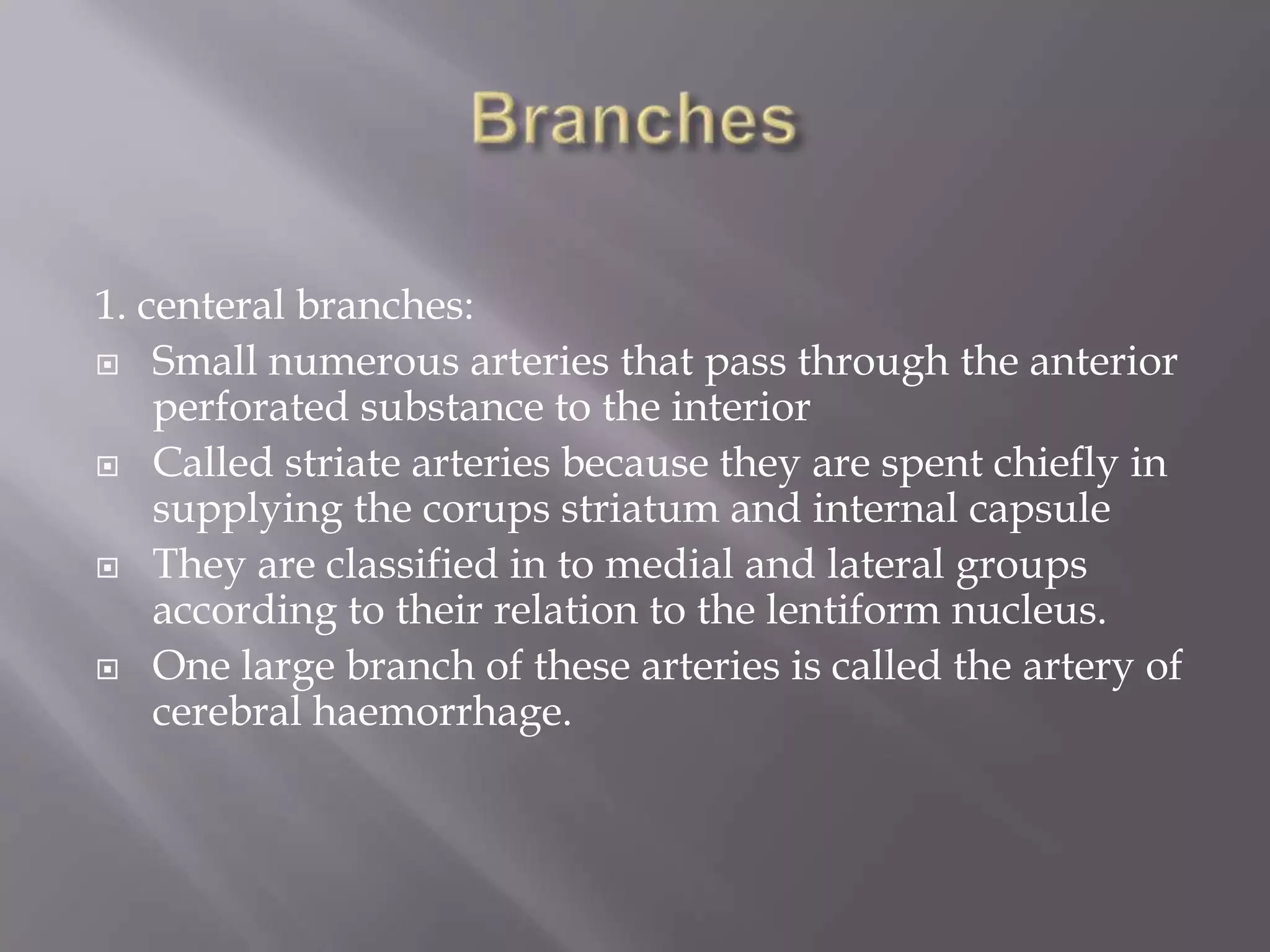 1. centeral branches:
 Small numerous arteries that pass through the anterior
perforated substance to the interior
 Called striate arteries because they are spent chiefly in
supplying the corups striatum and internal capsule
 They are classified in to medial and lateral groups
according to their relation to the lentiform nucleus.
 One large branch of these arteries is called the artery of
cerebral haemorrhage.

 