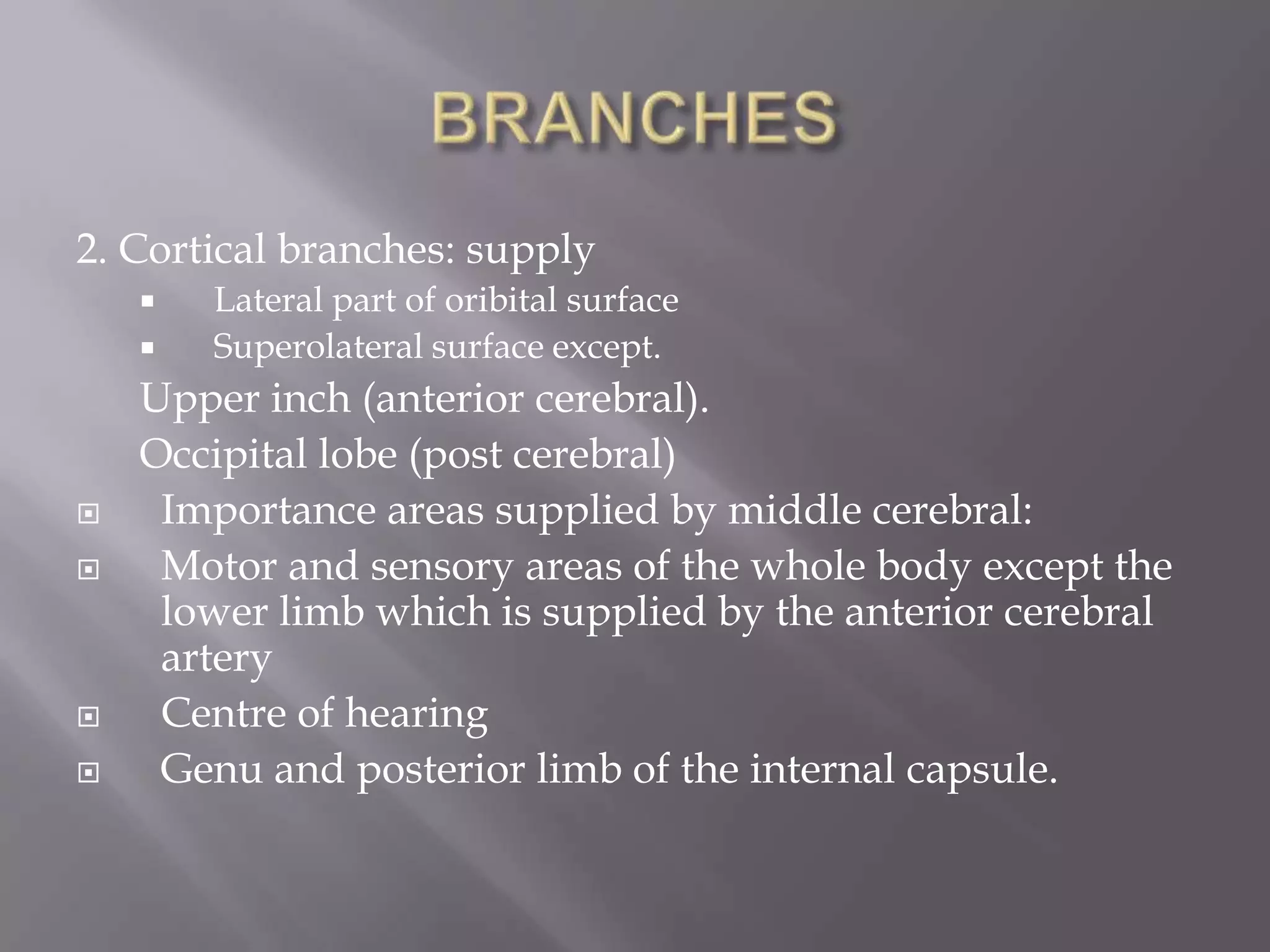 2. Cortical branches: supply










Lateral part of oribital surface
Superolateral surface except.

Upper inch (anterior cerebral).
Occipital lobe (post cerebral)
Importance areas supplied by middle cerebral:
Motor and sensory areas of the whole body except the
lower limb which is supplied by the anterior cerebral
artery
Centre of hearing
Genu and posterior limb of the internal capsule.

 