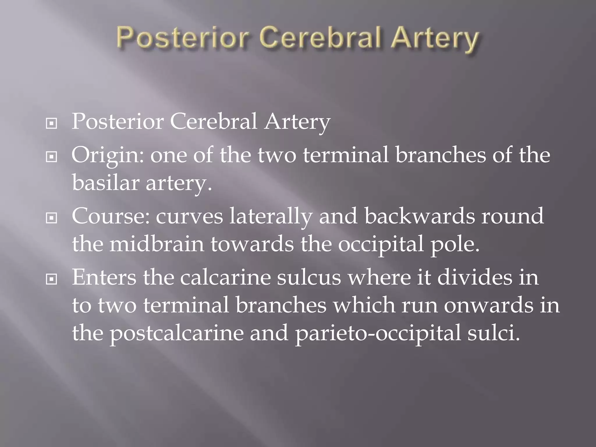 






Posterior Cerebral Artery
Origin: one of the two terminal branches of the
basilar artery.
Course: curves laterally and backwards round
the midbrain towards the occipital pole.
Enters the calcarine sulcus where it divides in
to two terminal branches which run onwards in
the postcalcarine and parieto-occipital sulci.

 
