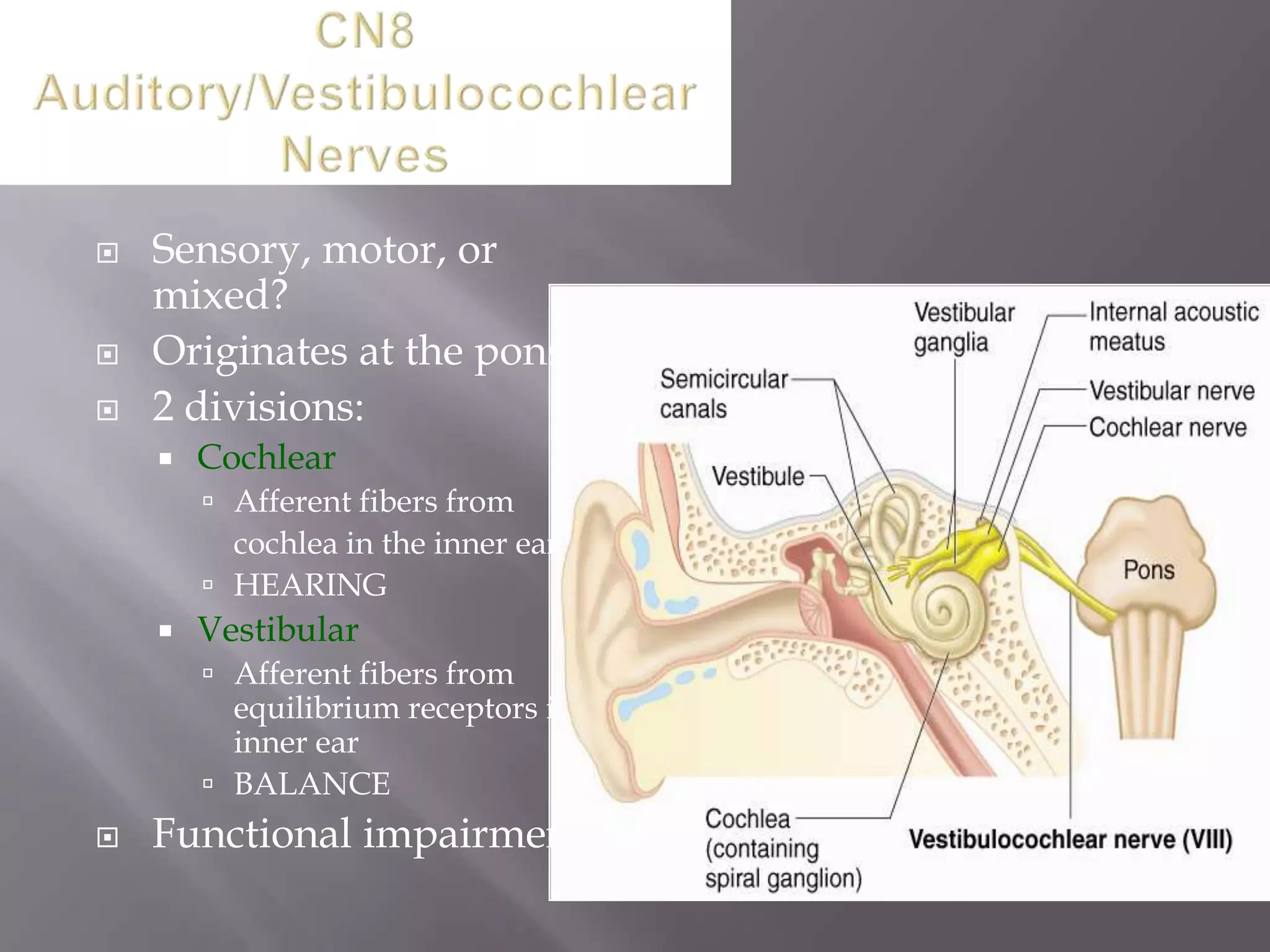 




Sensory, motor, or
mixed?
Originates at the pons
2 divisions:


Cochlear
 Afferent fibers from

cochlea in the inner ear
 HEARING


Vestibular
 Afferent fibers from
equilibrium receptors in

inner ear
 BALANCE


Functional impairment?

 