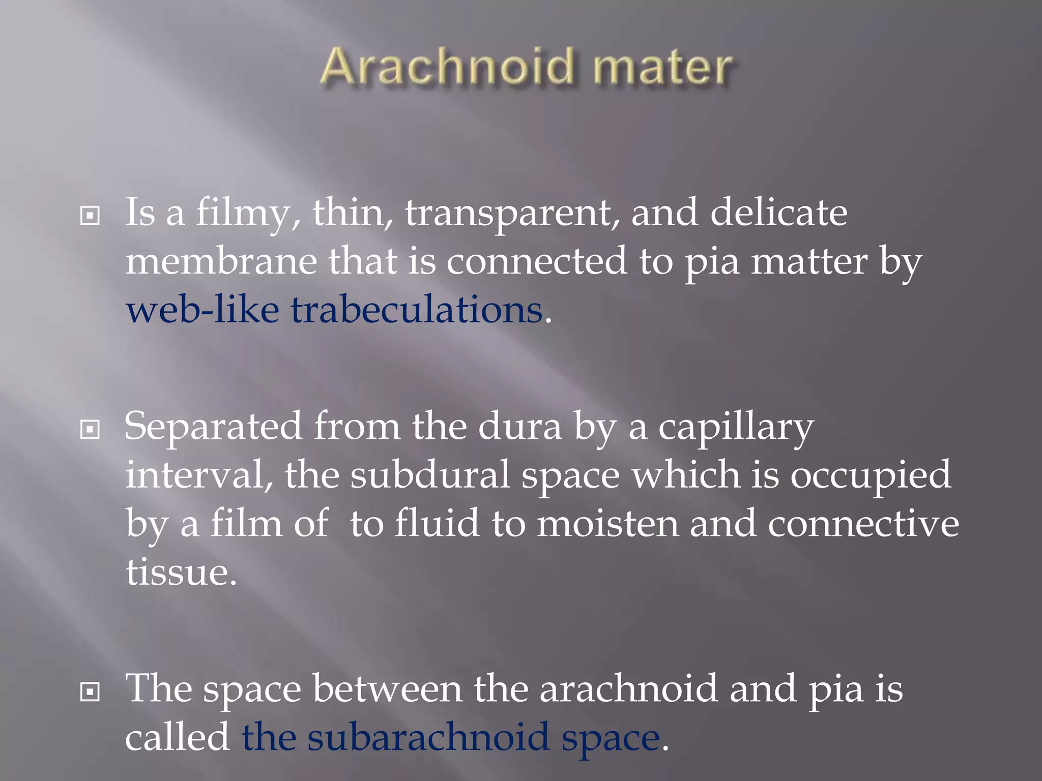 





Is a filmy, thin, transparent, and delicate
membrane that is connected to pia matter by
web-like trabeculations.
Separated from the dura by a capillary
interval, the subdural space which is occupied
by a film of to fluid to moisten and connective
tissue.
The space between the arachnoid and pia is
called the subarachnoid space.

 