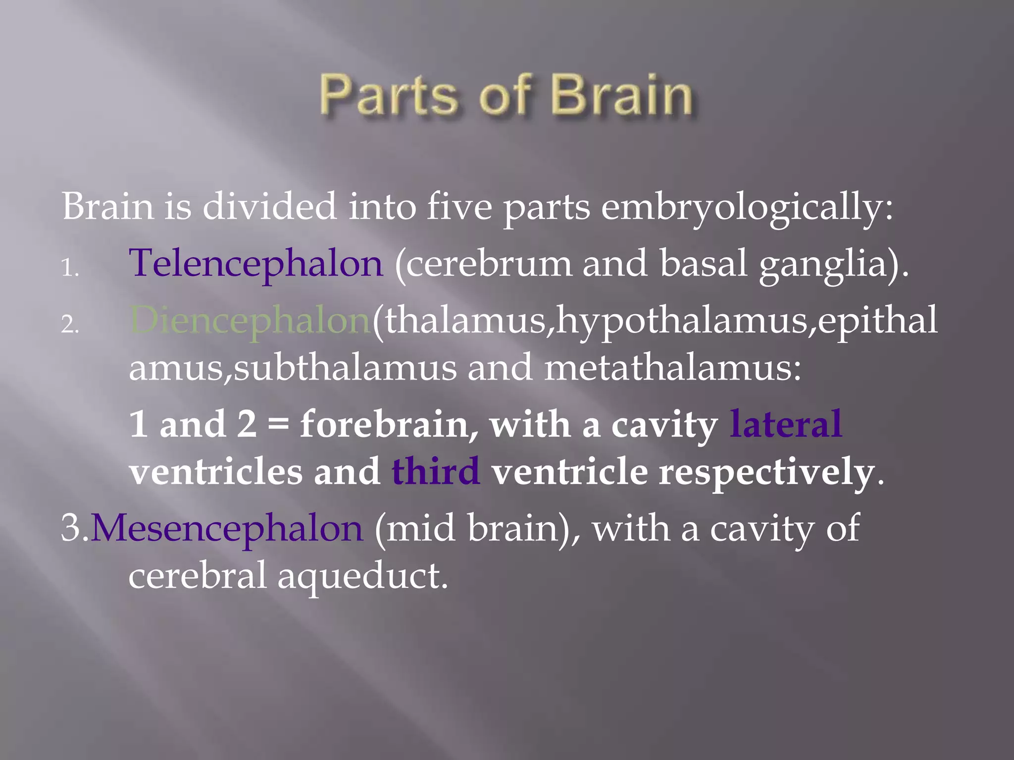 Brain is divided into five parts embryologically:
1.
Telencephalon (cerebrum and basal ganglia).
2.
Diencephalon(thalamus,hypothalamus,epithal
amus,subthalamus and metathalamus:
1 and 2 = forebrain, with a cavity lateral
ventricles and third ventricle respectively.
3.Mesencephalon (mid brain), with a cavity of
cerebral aqueduct.

 