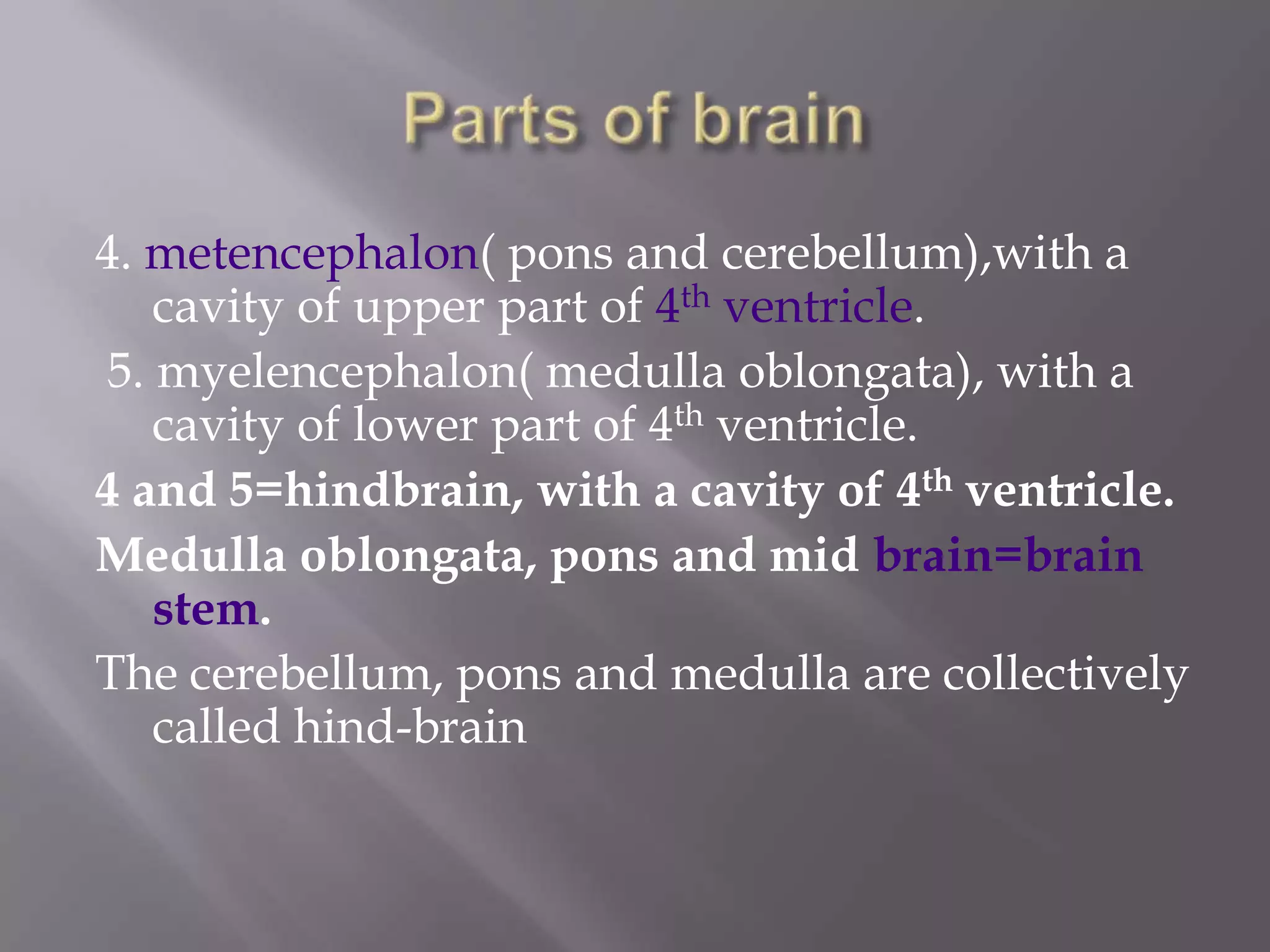 4. metencephalon( pons and cerebellum),with a
cavity of upper part of 4th ventricle.
5. myelencephalon( medulla oblongata), with a
cavity of lower part of 4th ventricle.
4 and 5=hindbrain, with a cavity of 4th ventricle.
Medulla oblongata, pons and mid brain=brain
stem.
The cerebellum, pons and medulla are collectively
called hind-brain

 