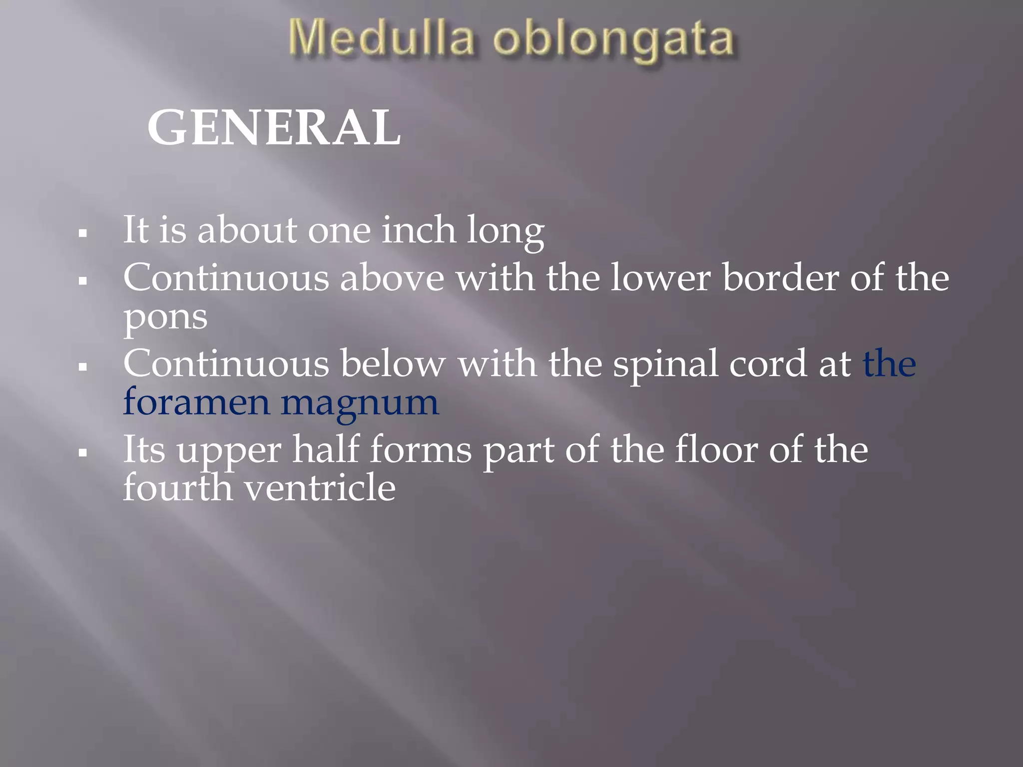 GENERAL







It is about one inch long
Continuous above with the lower border of the
pons
Continuous below with the spinal cord at the
foramen magnum
Its upper half forms part of the floor of the
fourth ventricle

 
