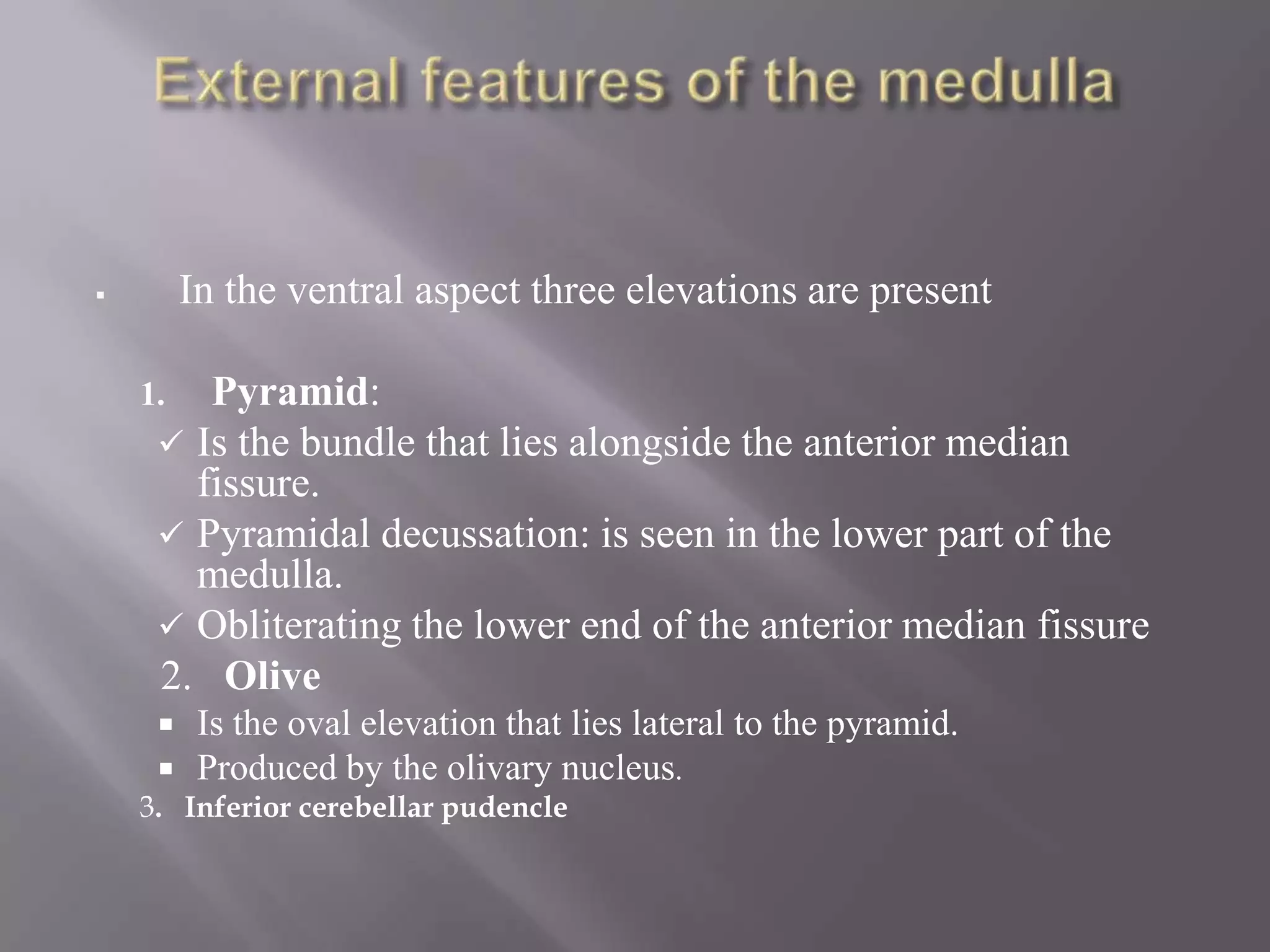 In the ventral aspect three elevations are present



Pyramid:
Is the bundle that lies alongside the anterior median
fissure.
 Pyramidal decussation: is seen in the lower part of the
medulla.
 Obliterating the lower end of the anterior median fissure
2. Olive

1.


Is the oval elevation that lies lateral to the pyramid.
 Produced by the olivary nucleus.


3. Inferior cerebellar pudencle

 