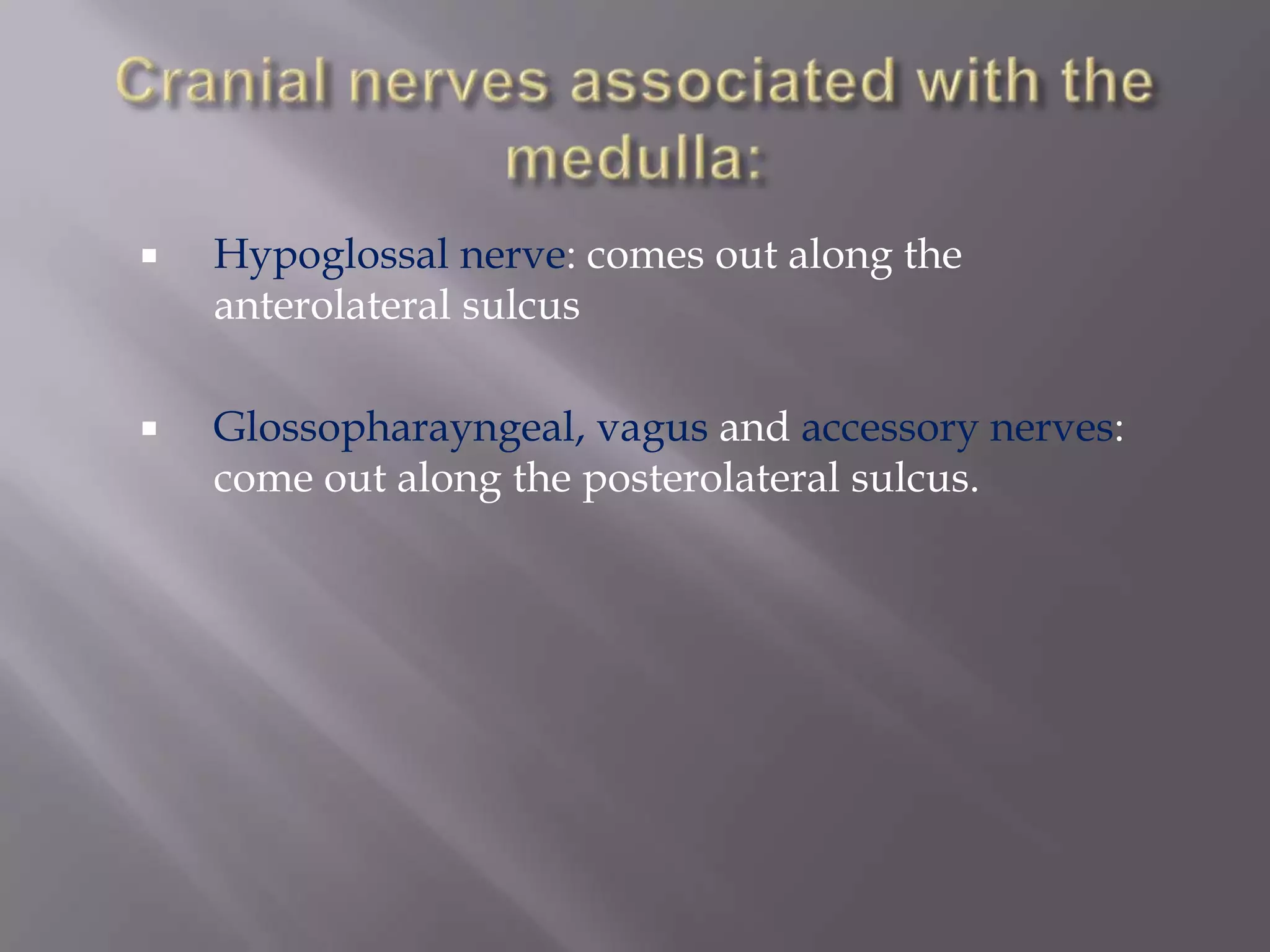 

Hypoglossal nerve: comes out along the
anterolateral sulcus



Glossopharayngeal, vagus and accessory nerves:
come out along the posterolateral sulcus.

 