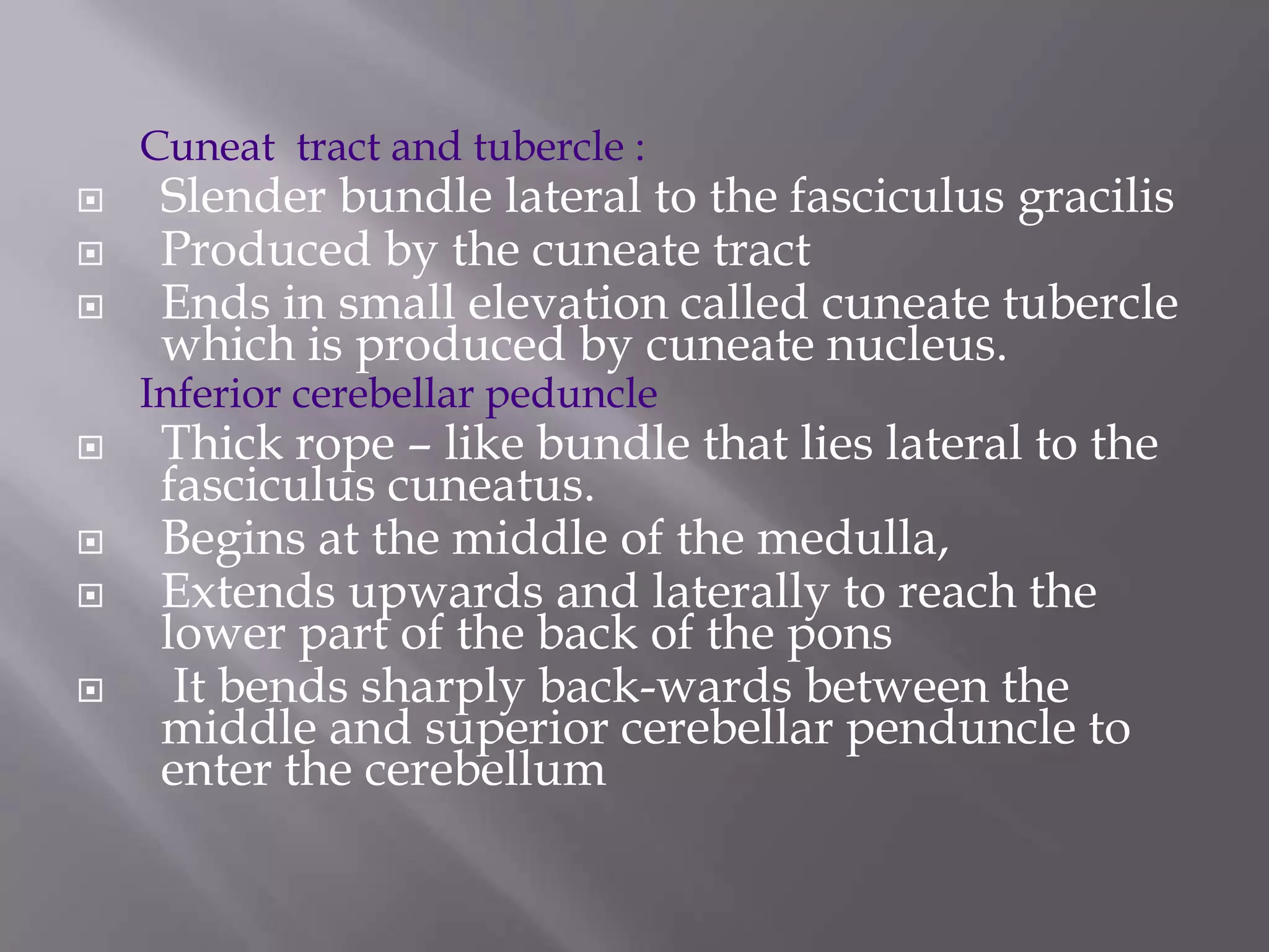 Cuneat tract and tubercle :




Slender bundle lateral to the fasciculus gracilis
Produced by the cuneate tract
Ends in small elevation called cuneate tubercle
which is produced by cuneate nucleus.

Inferior cerebellar peduncle






Thick rope – like bundle that lies lateral to the
fasciculus cuneatus.
Begins at the middle of the medulla,
Extends upwards and laterally to reach the
lower part of the back of the pons
It bends sharply back-wards between the
middle and superior cerebellar penduncle to
enter the cerebellum

 