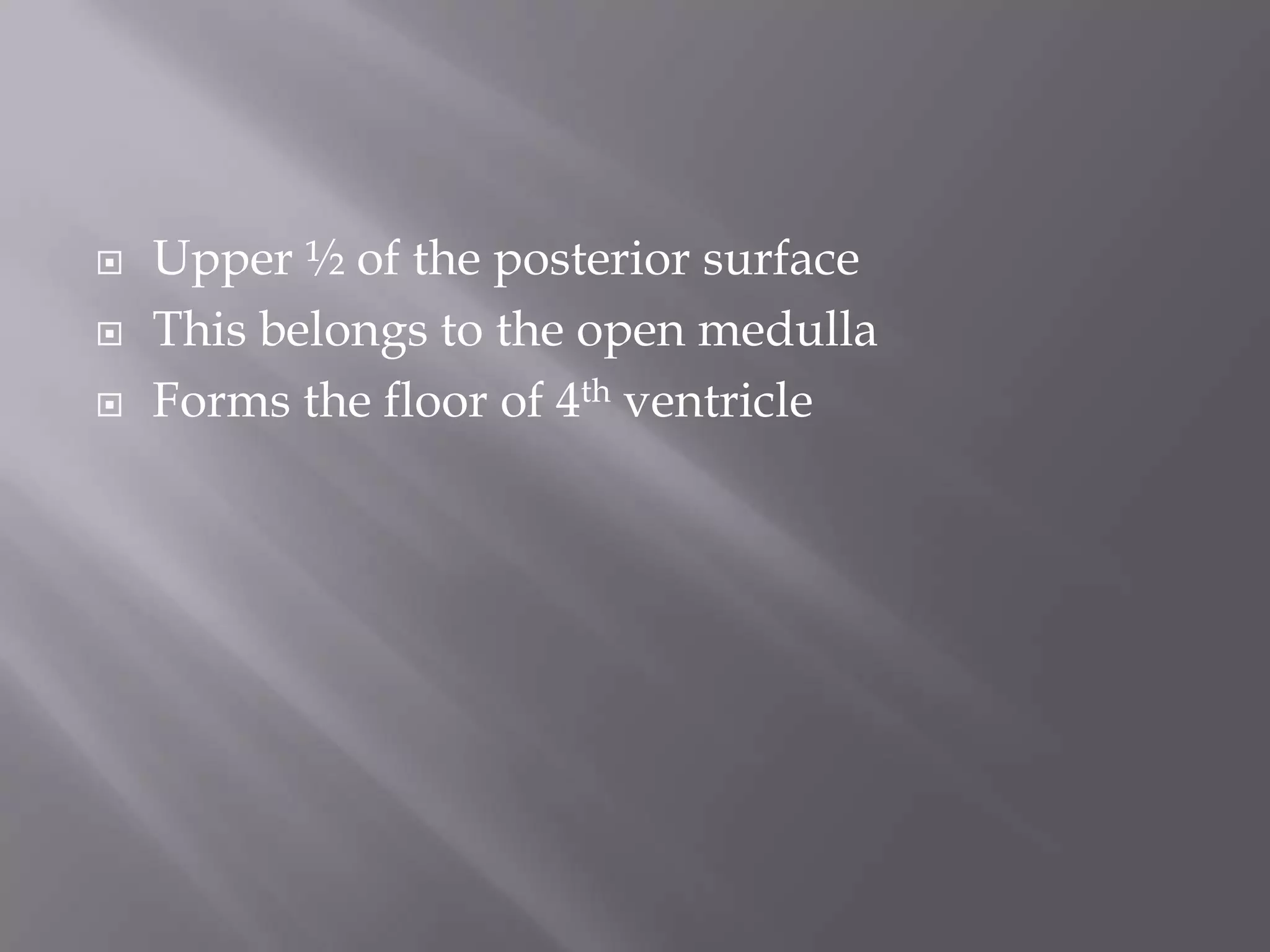 



Upper ½ of the posterior surface
This belongs to the open medulla
Forms the floor of 4th ventricle

 