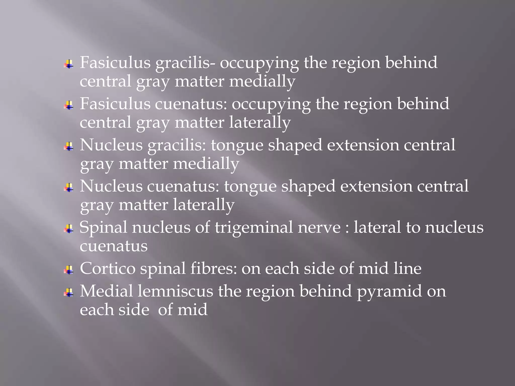Fasiculus gracilis- occupying the region behind
central gray matter medially
Fasiculus cuenatus: occupying the region behind
central gray matter laterally
Nucleus gracilis: tongue shaped extension central
gray matter medially
Nucleus cuenatus: tongue shaped extension central
gray matter laterally
Spinal nucleus of trigeminal nerve : lateral to nucleus
cuenatus
Cortico spinal fibres: on each side of mid line
Medial lemniscus the region behind pyramid on
each side of mid

 