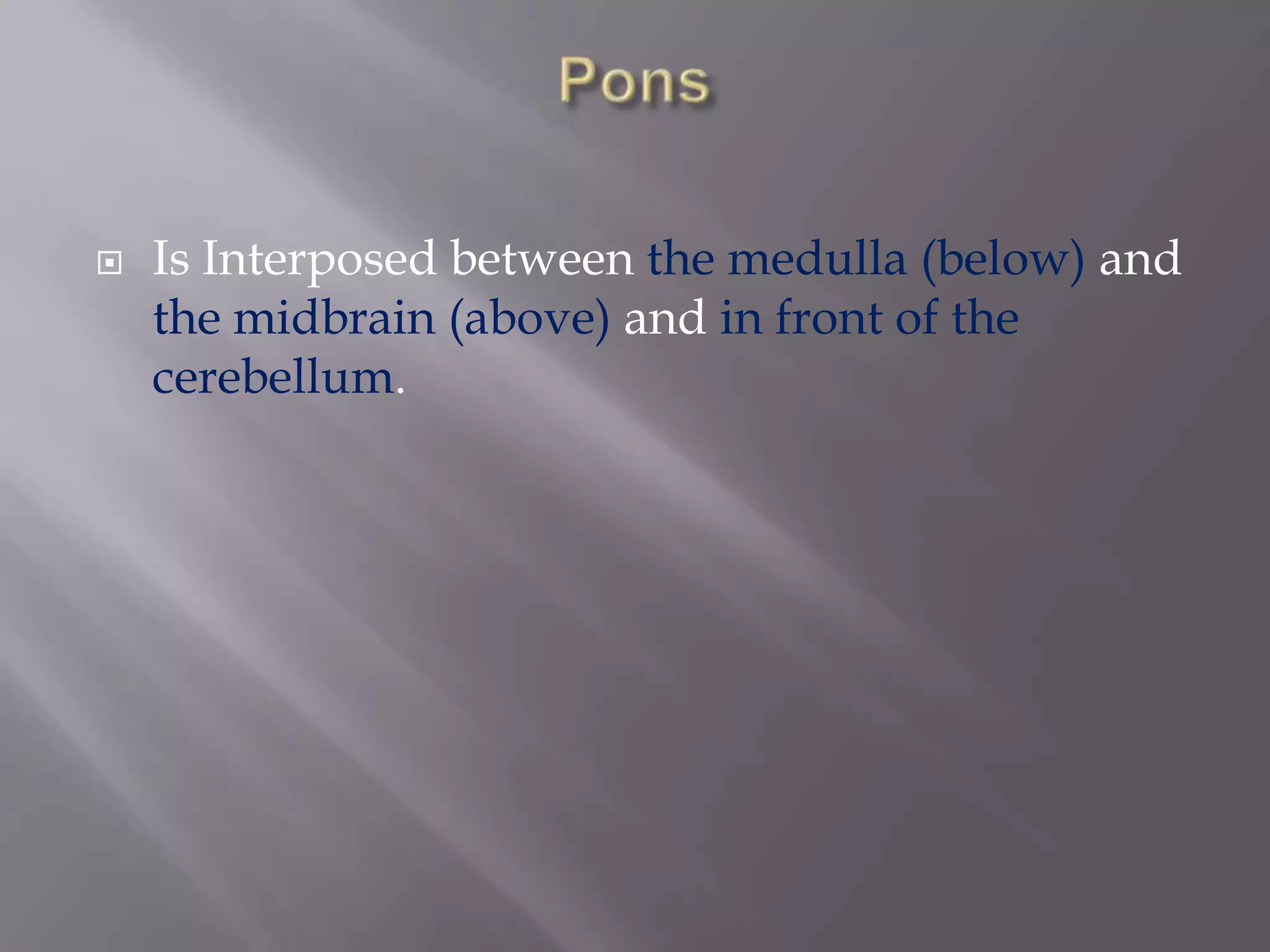 

Is Interposed between the medulla (below) and
the midbrain (above) and in front of the
cerebellum.

 