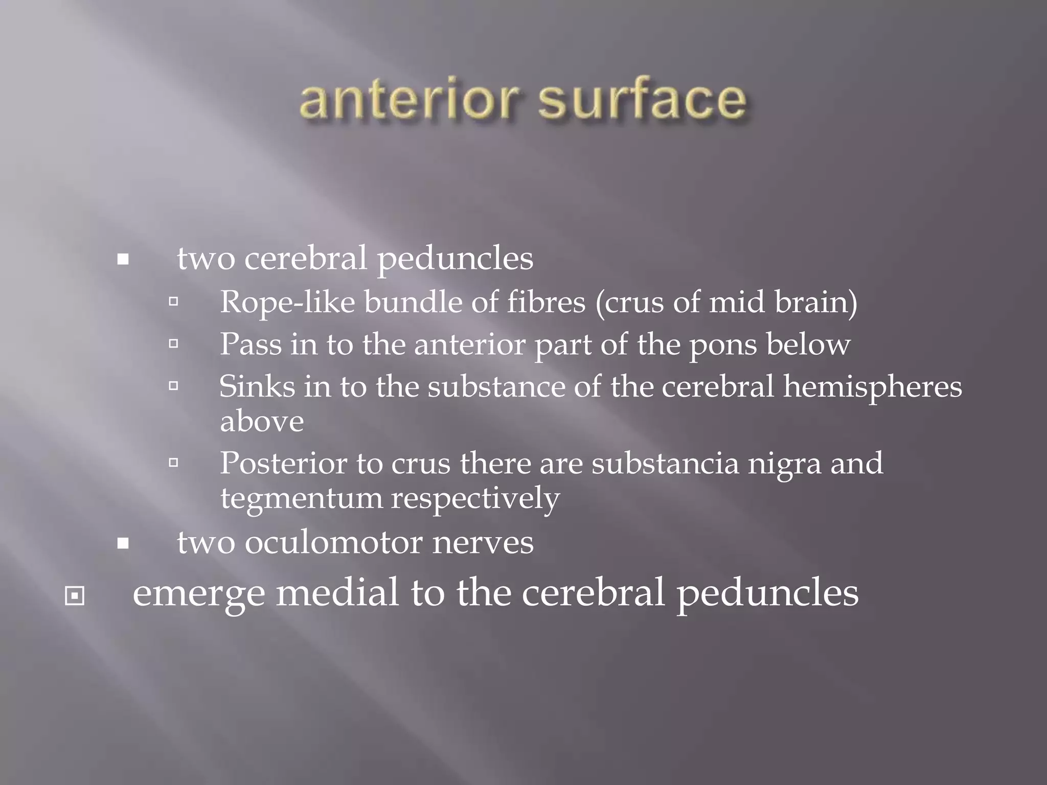 

two cerebral peduncles








Rope-like bundle of fibres (crus of mid brain)
Pass in to the anterior part of the pons below
Sinks in to the substance of the cerebral hemispheres
above
Posterior to crus there are substancia nigra and
tegmentum respectively

two oculomotor nerves

emerge medial to the cerebral peduncles

 