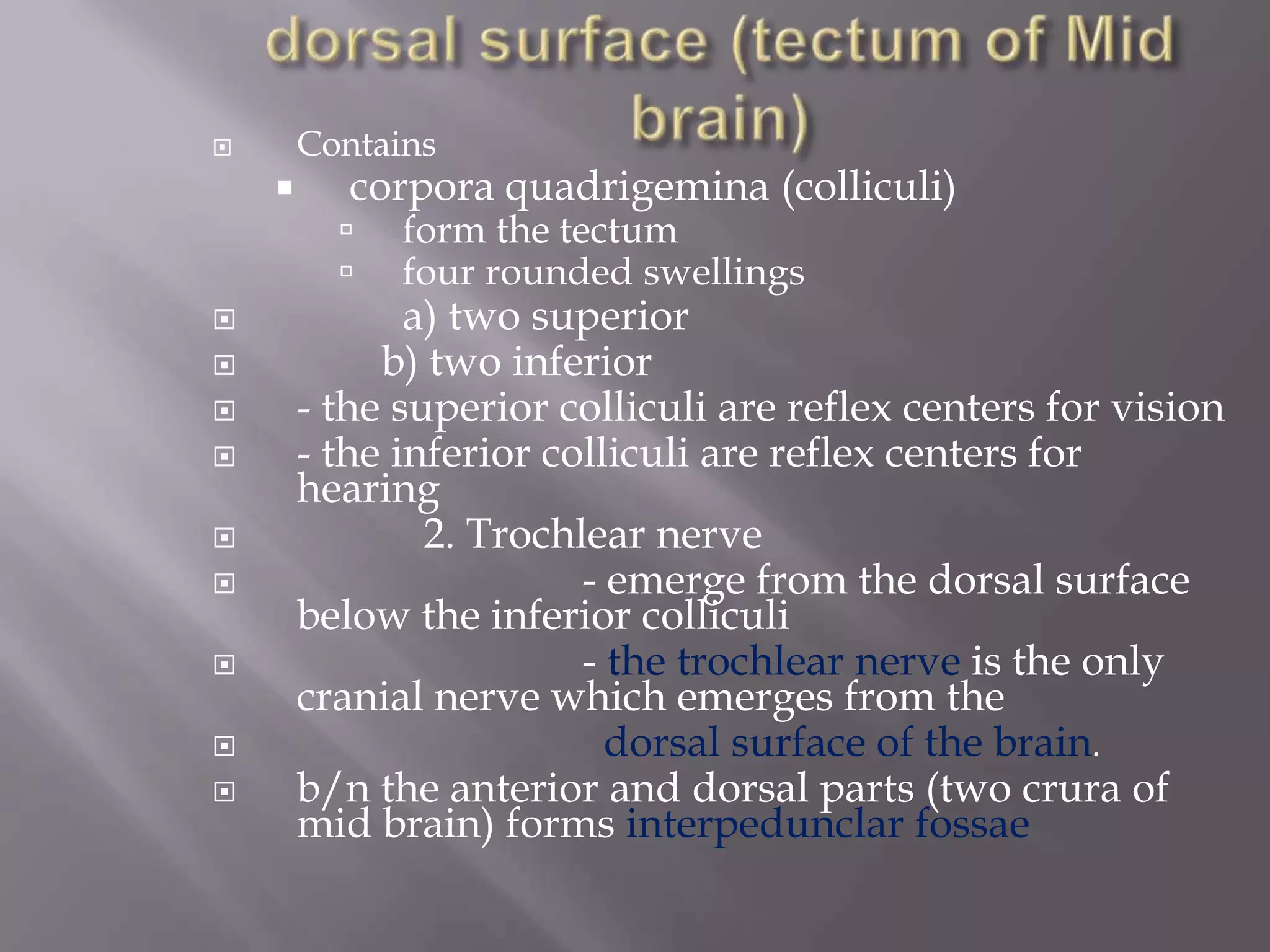 Contains





corpora quadrigemina (colliculi)















form the tectum
four rounded swellings

a) two superior
b) two inferior
- the superior colliculi are reflex centers for vision
- the inferior colliculi are reflex centers for
hearing
2. Trochlear nerve
- emerge from the dorsal surface
below the inferior colliculi
- the trochlear nerve is the only
cranial nerve which emerges from the
dorsal surface of the brain.
b/n the anterior and dorsal parts (two crura of
mid brain) forms interpedunclar fossae

 