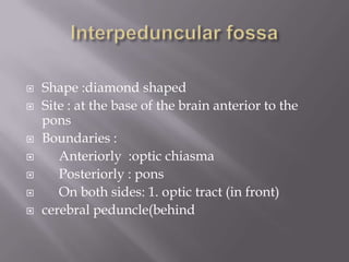 










Shape :diamond shaped
Site : at the base of the brain anterior to the
pons
Boundaries :
Anteriorly :optic chiasma
Posteriorly : pons
On both sides: 1. optic tract (in front)
cerebral peduncle(behind

 