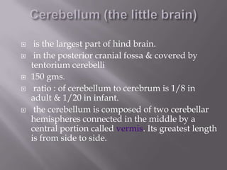 







is the largest part of hind brain.
in the posterior cranial fossa & covered by
tentorium cerebelli
150 gms.
ratio : of cerebellum to cerebrum is 1/8 in
adult & 1/20 in infant.
the cerebellum is composed of two cerebellar
hemispheres connected in the middle by a
central portion called vermis. Its greatest length
is from side to side.

 