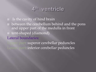 Is the cavity of hind brain
 between the cerebellum behind and the pons
and upper part of the medulla in front
 tent-shaped (diamond)
Lateral boundaries:
Upper part: superor cerebellar peduncles
Lower part: inferior cerebellar peduncles


 