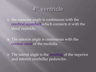 





the superior angle is continuous with the
cerebral aqueduct which connects it with the
third ventricle.
The inferior angle is continuous with the
central canal of the medulla.
The lateral angle is the meeting of the superior
and inferior cerebellar peduncles.

 