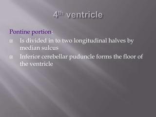 Pontine portion:

Is divided in to two longitudinal halves by
median sulcus

Inferior cerebellar puduncle forms the floor of
the ventricle

 