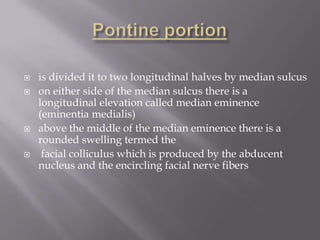 






is divided it to two longitudinal halves by median sulcus
on either side of the median sulcus there is a
longitudinal elevation called median eminence
(eminentia medialis)
above the middle of the median eminence there is a
rounded swelling termed the
facial colliculus which is produced by the abducent
nucleus and the encircling facial nerve fibers

 