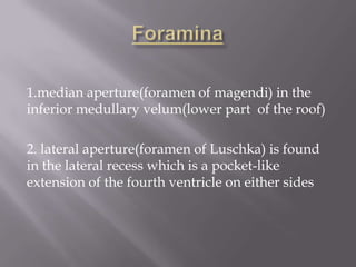 1.median aperture(foramen of magendi) in the
inferior medullary velum(lower part of the roof)
2. lateral aperture(foramen of Luschka) is found
in the lateral recess which is a pocket-like
extension of the fourth ventricle on either sides

 