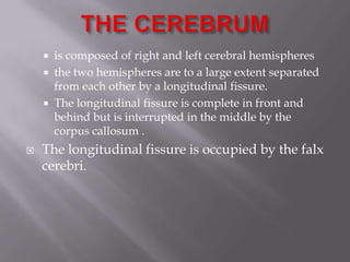 





is composed of right and left cerebral hemispheres
the two hemispheres are to a large extent separated
from each other by a longitudinal fissure.
The longitudinal fissure is complete in front and
behind but is interrupted in the middle by the
corpus callosum .

The longitudinal fissure is occupied by the falx
cerebri.

 