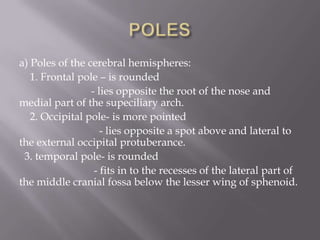 a) Poles of the cerebral hemispheres:
1. Frontal pole – is rounded
- lies opposite the root of the nose and
medial part of the supeciliary arch.
2. Occipital pole- is more pointed
- lies opposite a spot above and lateral to
the external occipital protuberance.
3. temporal pole- is rounded
- fits in to the recesses of the lateral part of
the middle cranial fossa below the lesser wing of sphenoid.

 