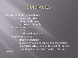 c) Surfaces of the hemispheres:
1. supero-lateral surface
-large and convex
- directed laterally
2. medial surface
- flat
- directed medially
3. inferior surface
-directed inferiorly
-divided by a lateral sulcus into two parts:
a, orbital surface: lies on the roof of the orbit
b, tentorial surface: lies on the tentorium
cerebelli

 